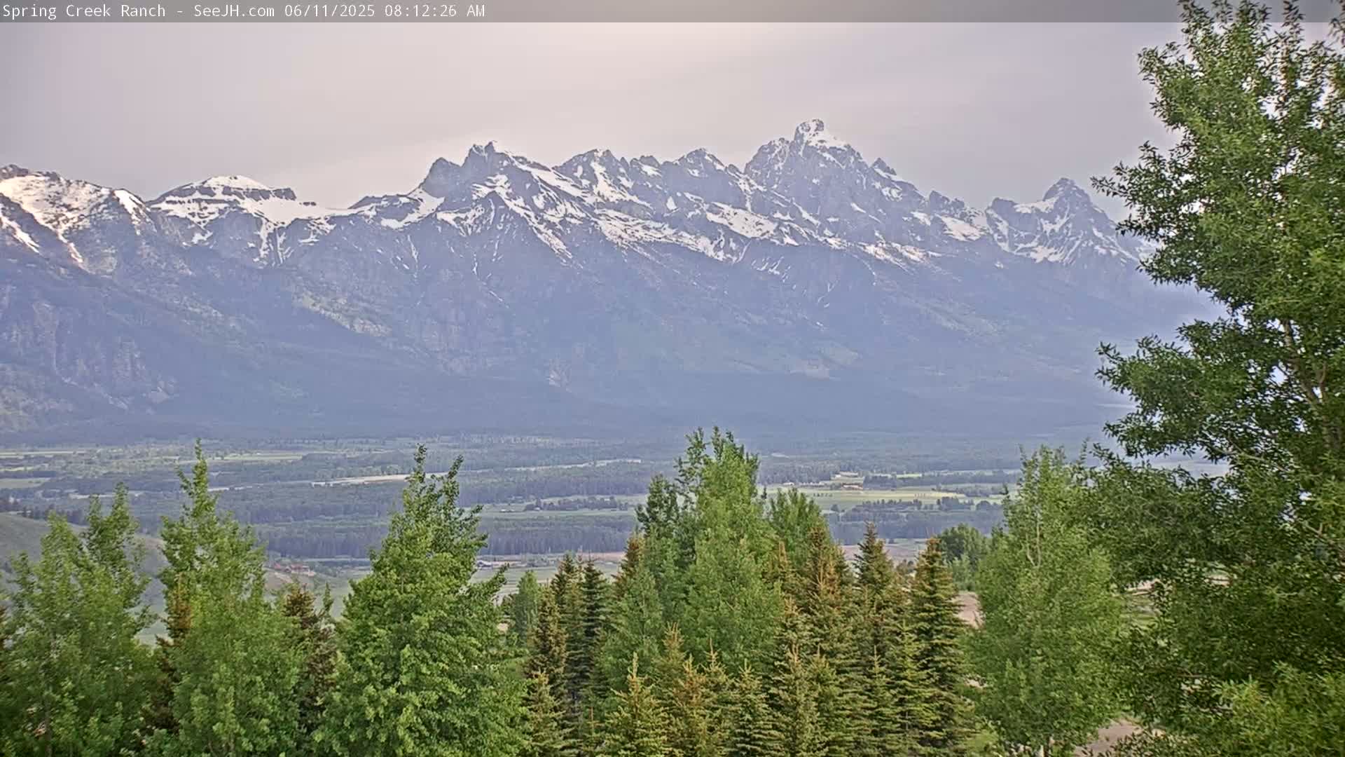 A snow-capped mountain range is visible in the distance under a hazy sky, with a foreground of green trees and a valley stretching between the viewer and the mountains.