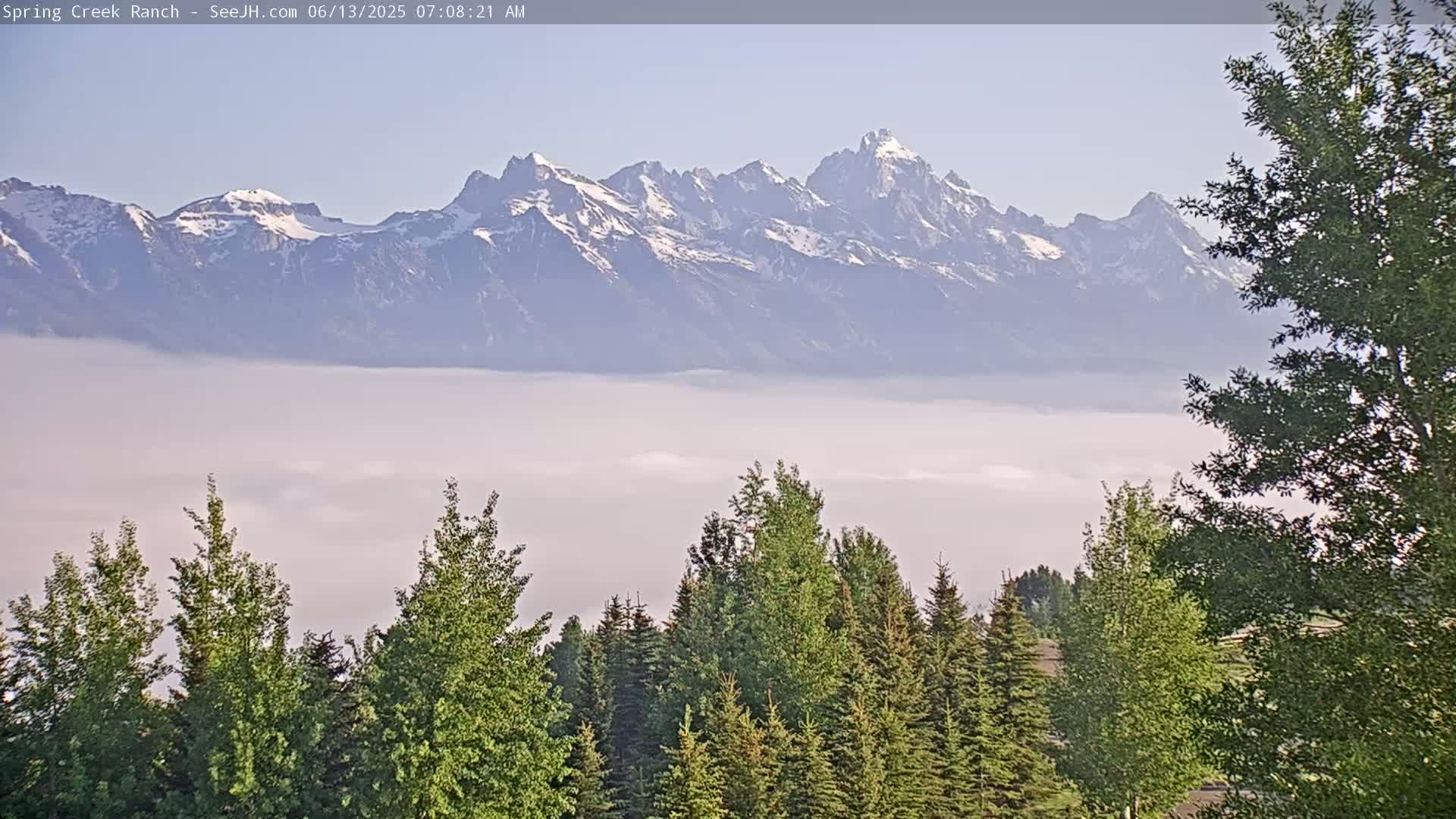Snow-capped mountains rise above a valley filled with low-lying fog, observed from a vantage point among evergreen trees on a clear morning.