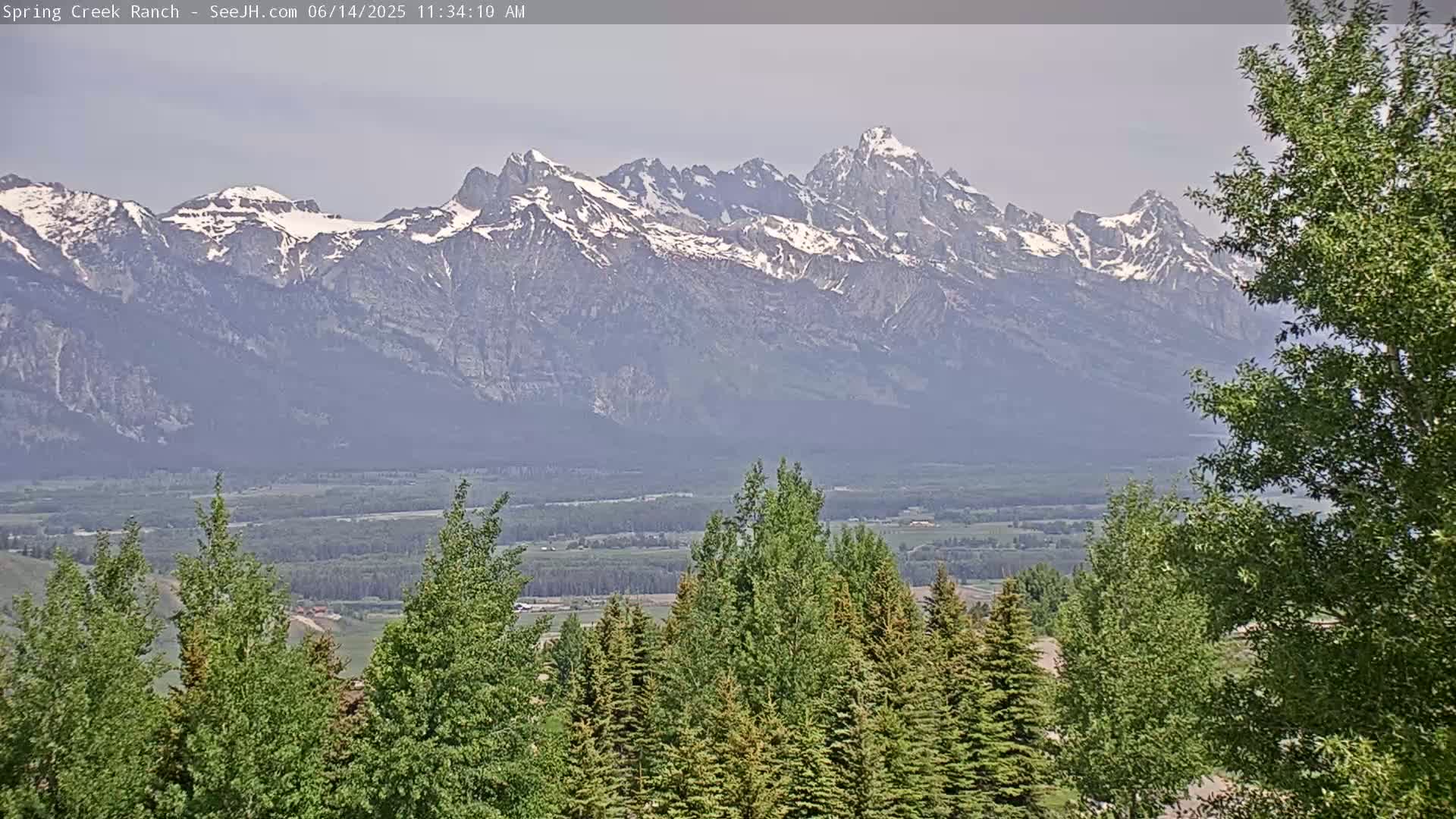A snow-capped mountain range is visible in the distance, behind a foreground of green trees under hazy skies.