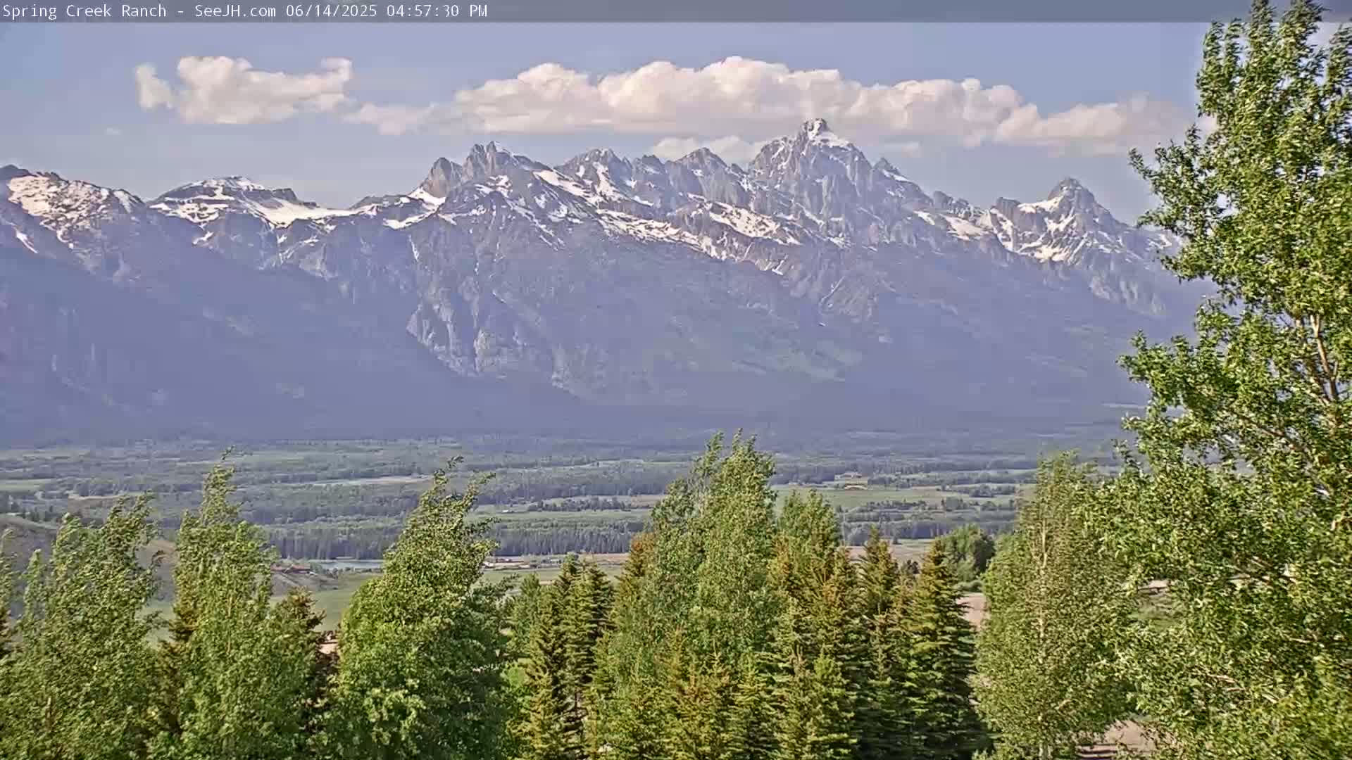 A snow-capped mountain range is visible in the distance, behind a foreground of green trees under hazy skies.
