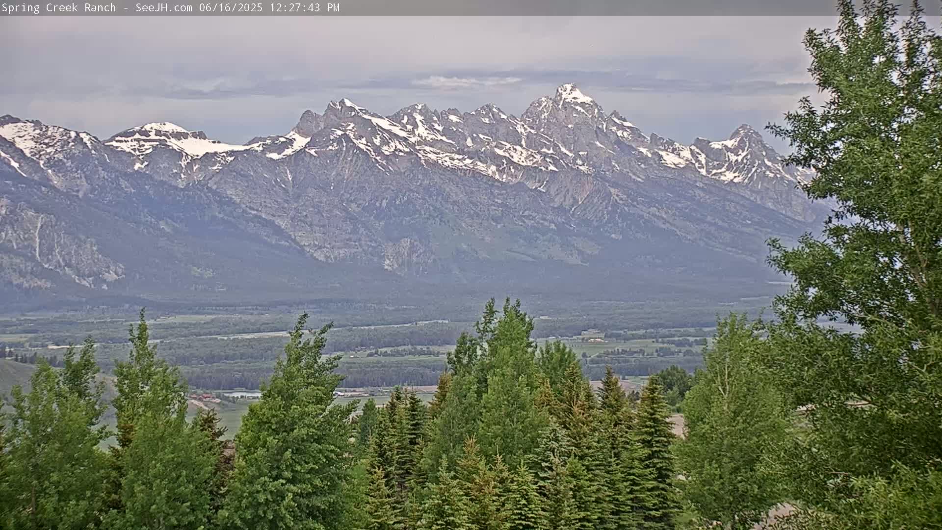Grand Teton Mountain from Spring Creek Ranch in Jackson Hole, Wyoming - Jackson, Teton, Wyoming, USA