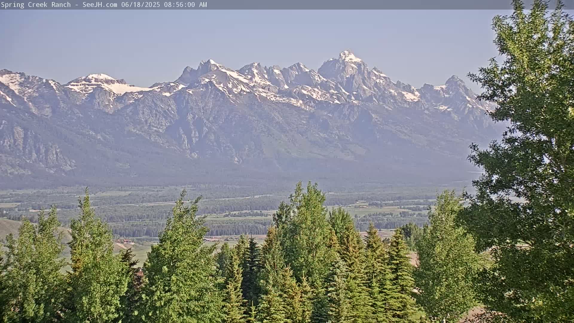 A hazy, clear morning view of snow-capped mountains in the distance, with a foreground of green trees and a valley stretching between them.
