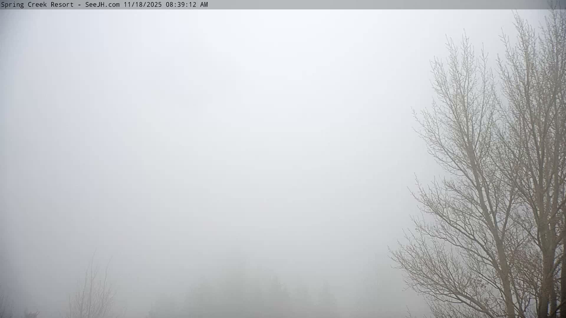 Grand Teton Mountain from Spring Creek Ranch in Jackson Hole, Wyoming - Jackson, Teton, Wyoming, USA