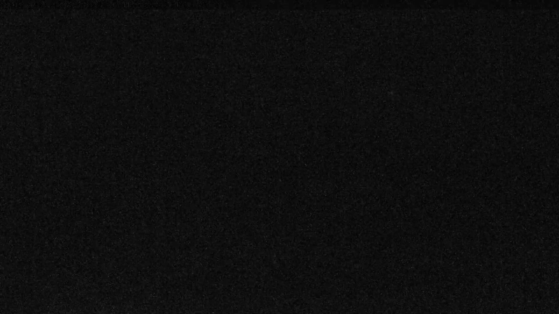 The image is a solid black field with subtle, uniform digital noise or grain.