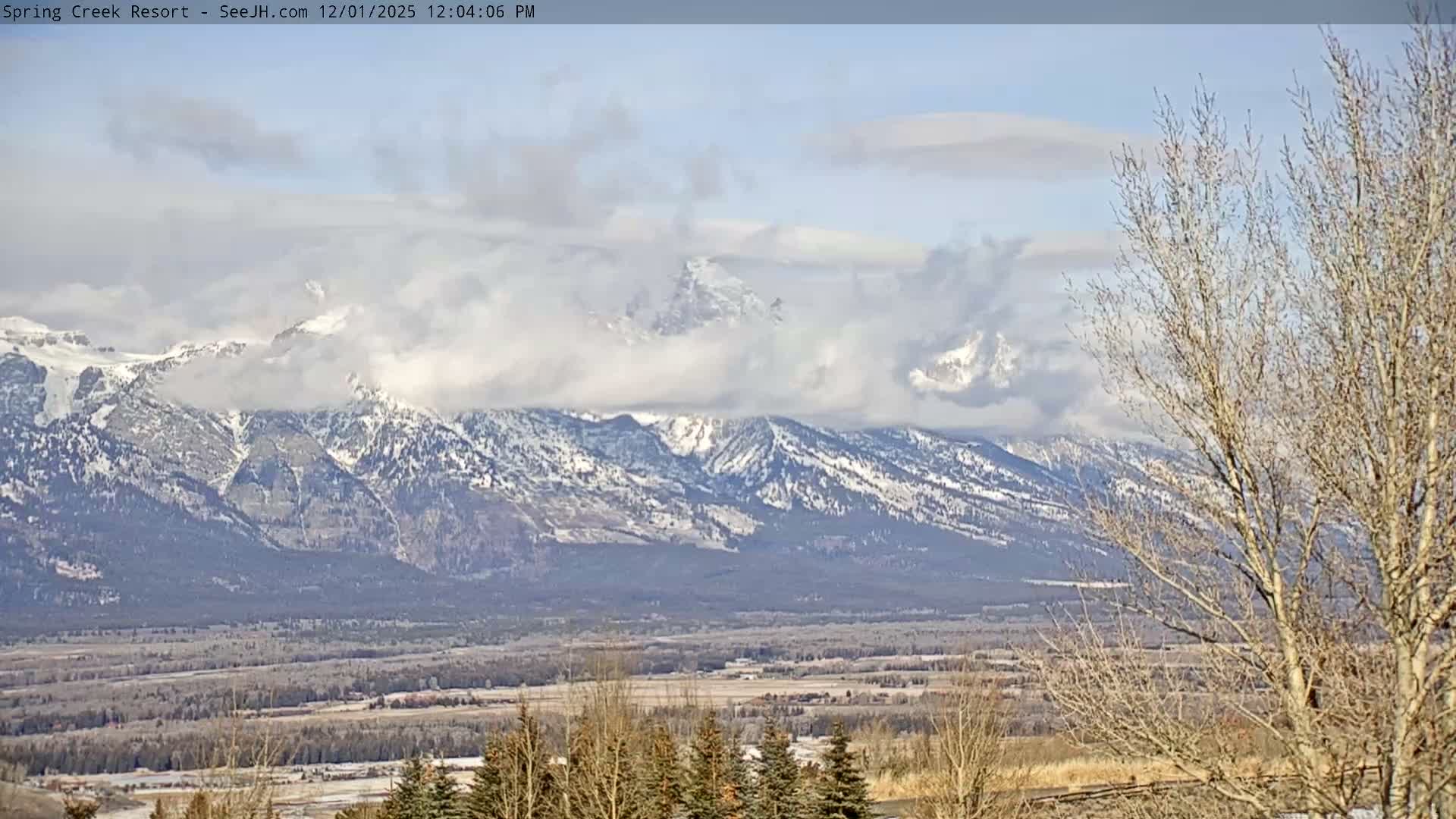 Grand Teton Mountain from Spring Creek Ranch in Jackson Hole, Wyoming - Jackson, Teton, Wyoming, USA