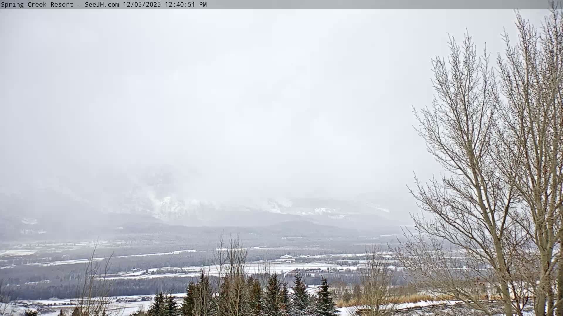 Grand Teton Mountain from Spring Creek Ranch in Jackson Hole, Wyoming - Jackson, Teton, Wyoming, USA