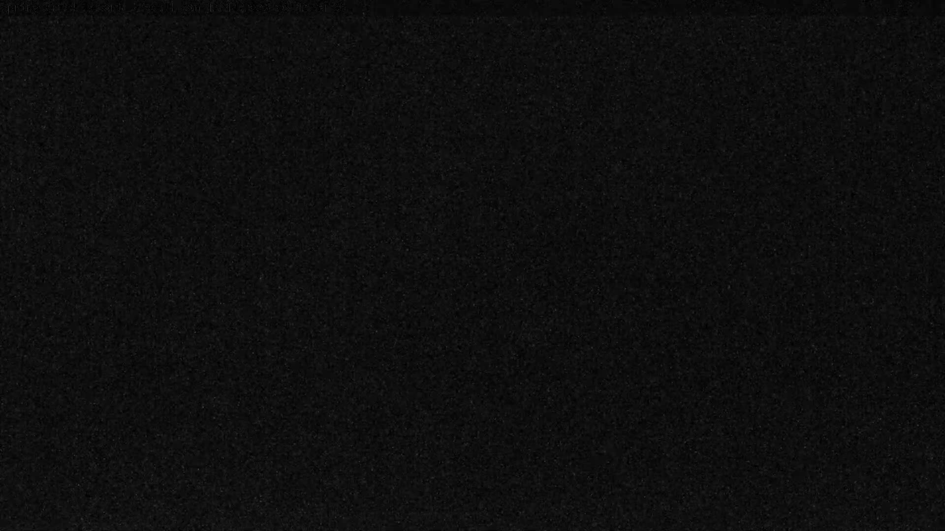 The image shows a very dark and grainy outdoor night scene with faint silhouettes of trees across the bottom and a large bare tree branch on the right, under conditions of extremely low light and visibility.