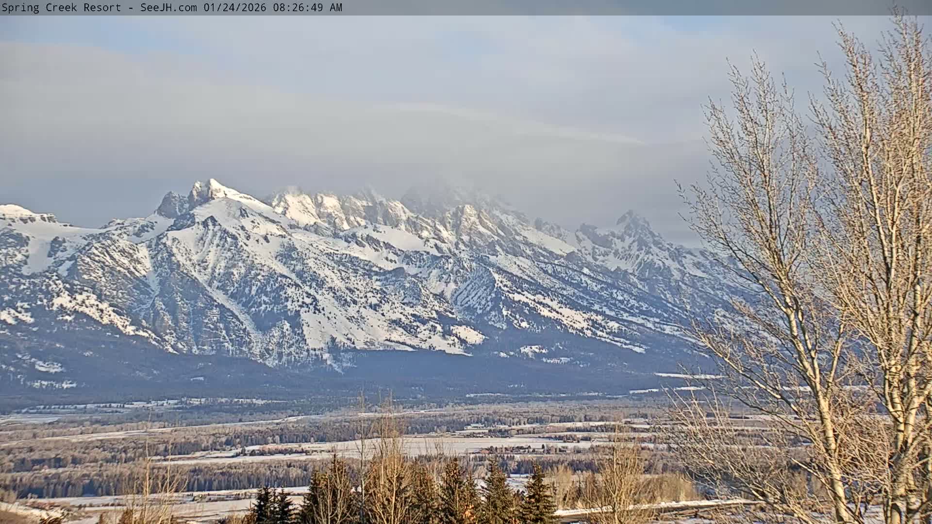Grand Teton Mountain from Spring Creek Ranch in Jackson Hole, Wyoming - Jackson, Teton, Wyoming, USA