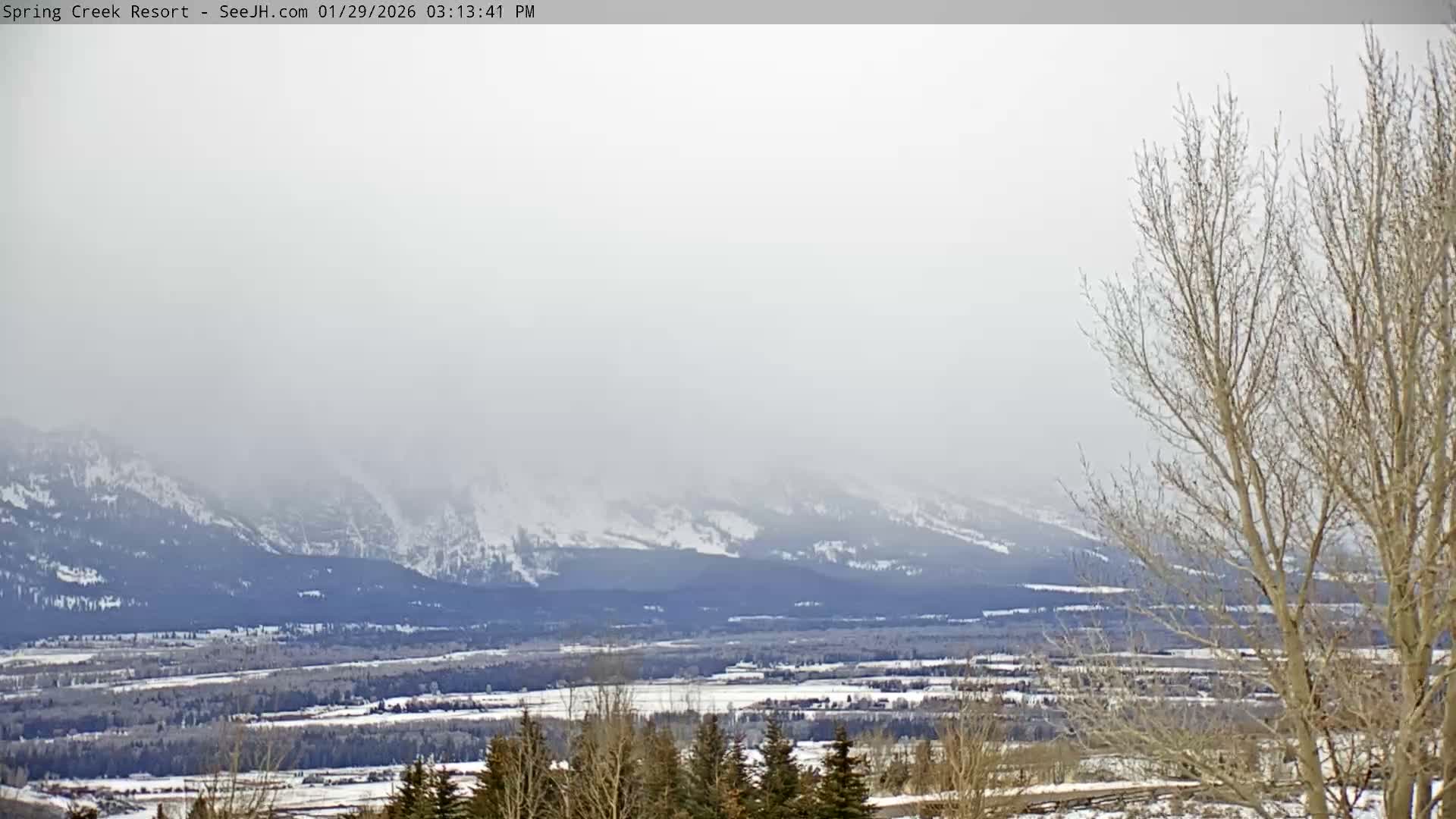 Grand Teton Mountain from Spring Creek Ranch in Jackson Hole, Wyoming - Jackson, Teton, Wyoming, USA
