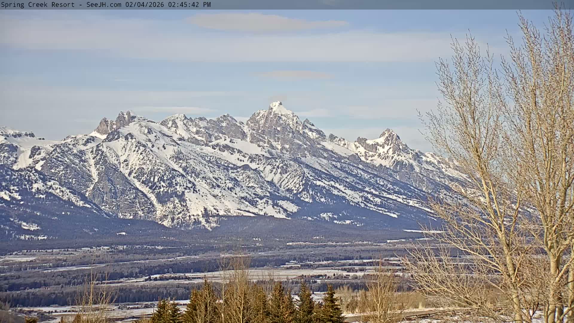 Grand Teton Mountain from Spring Creek Ranch in Jackson Hole, Wyoming - Jackson, Teton, Wyoming, USA