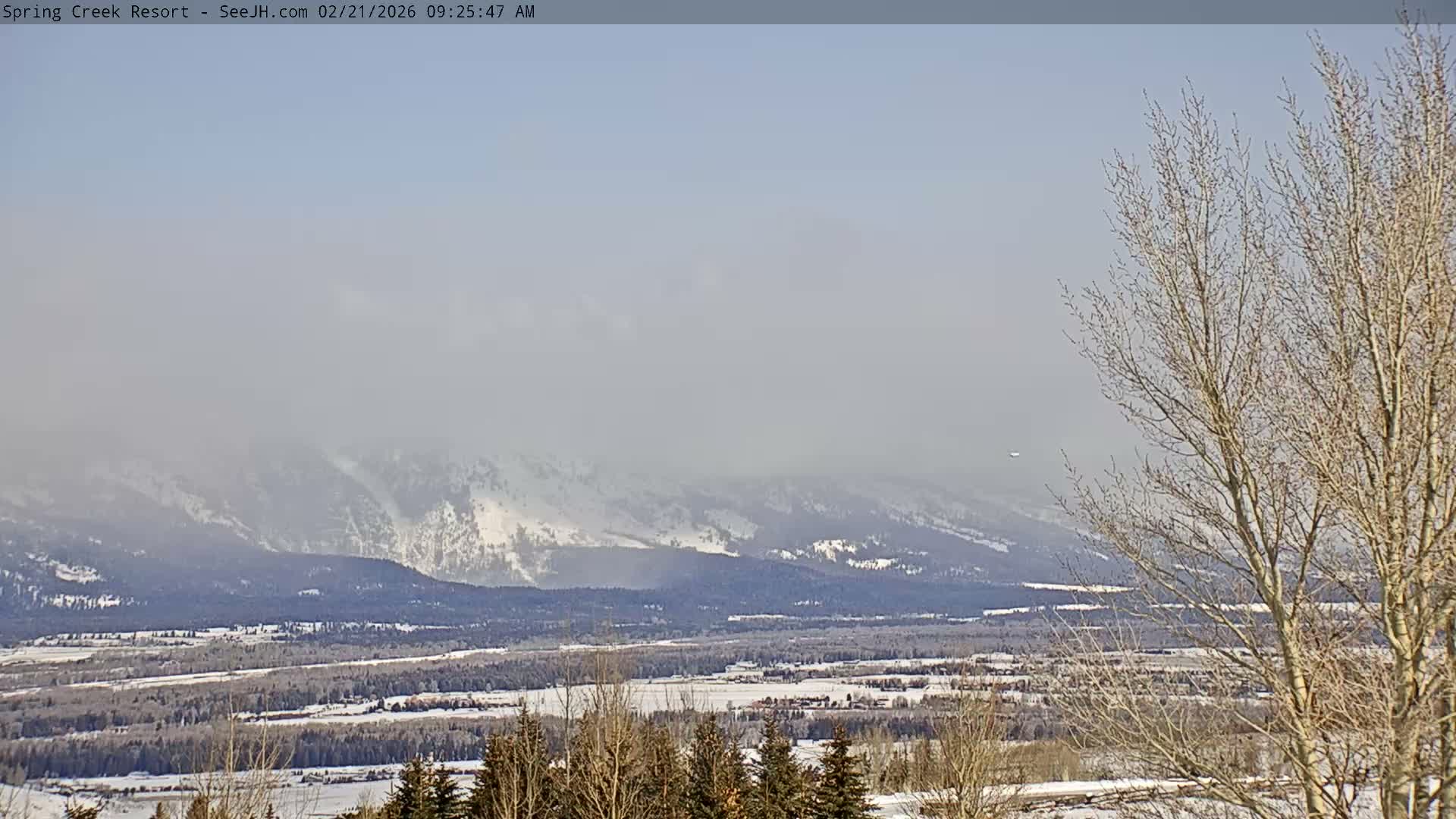 Grand Teton Mountain from Spring Creek Ranch in Jackson Hole, Wyoming - Jackson, Teton, Wyoming, USA