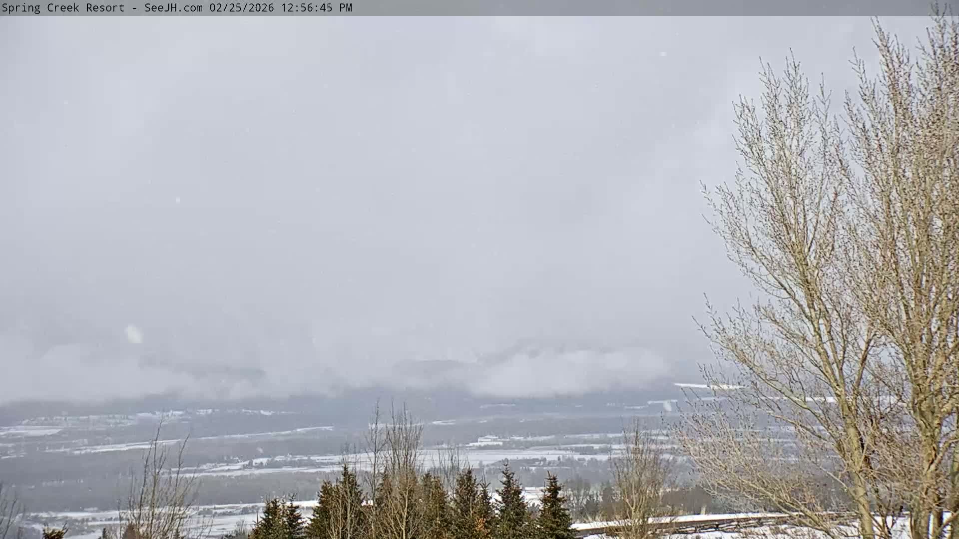 Grand Teton Mountain from Spring Creek Ranch in Jackson Hole, Wyoming - Jackson, Teton, Wyoming, USA
