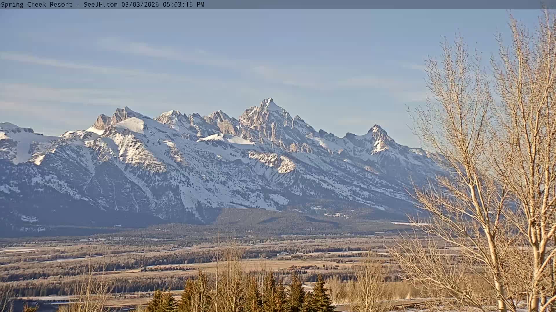 Grand Teton Mountain from Spring Creek Ranch in Jackson Hole, Wyoming - Jackson, Teton, Wyoming, USA