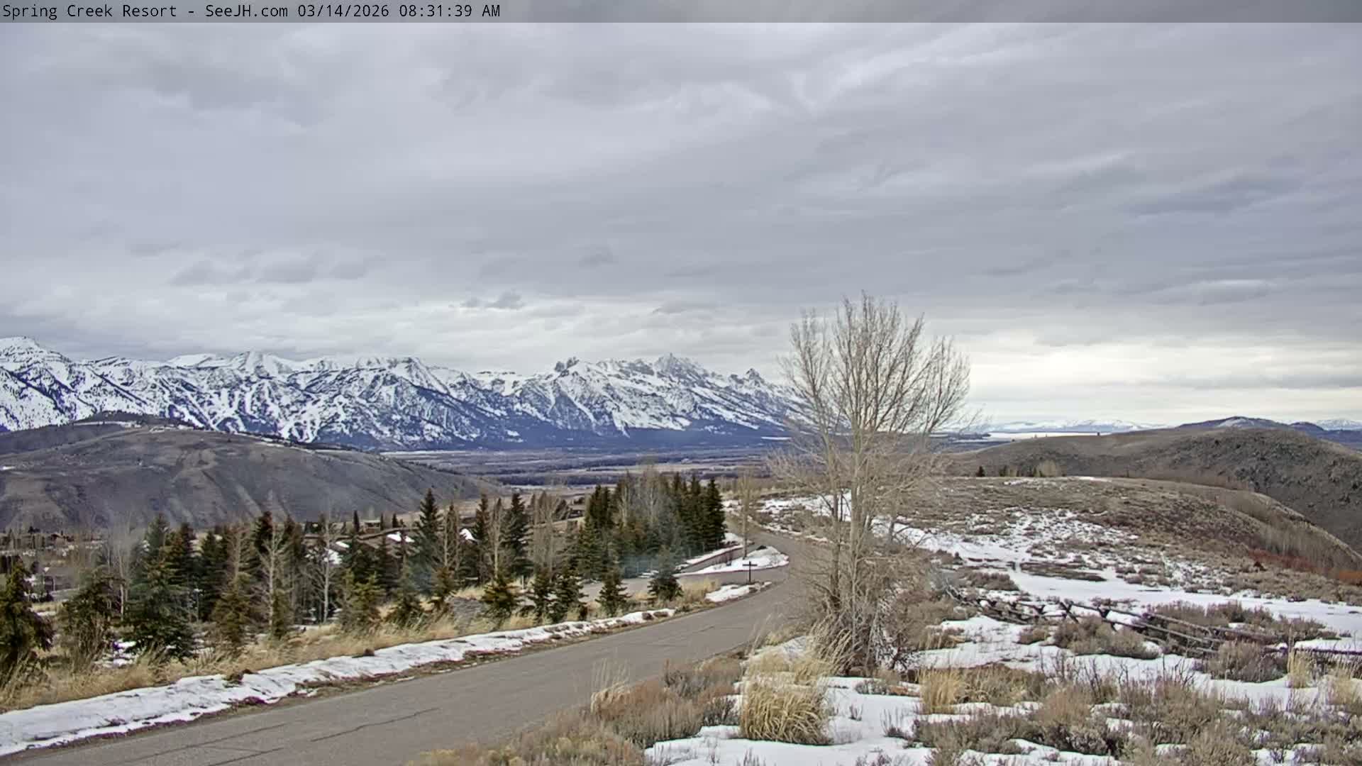 Grand Teton Mountain from Spring Creek Ranch in Jackson Hole, Wyoming - Jackson, Teton, Wyoming, USA
