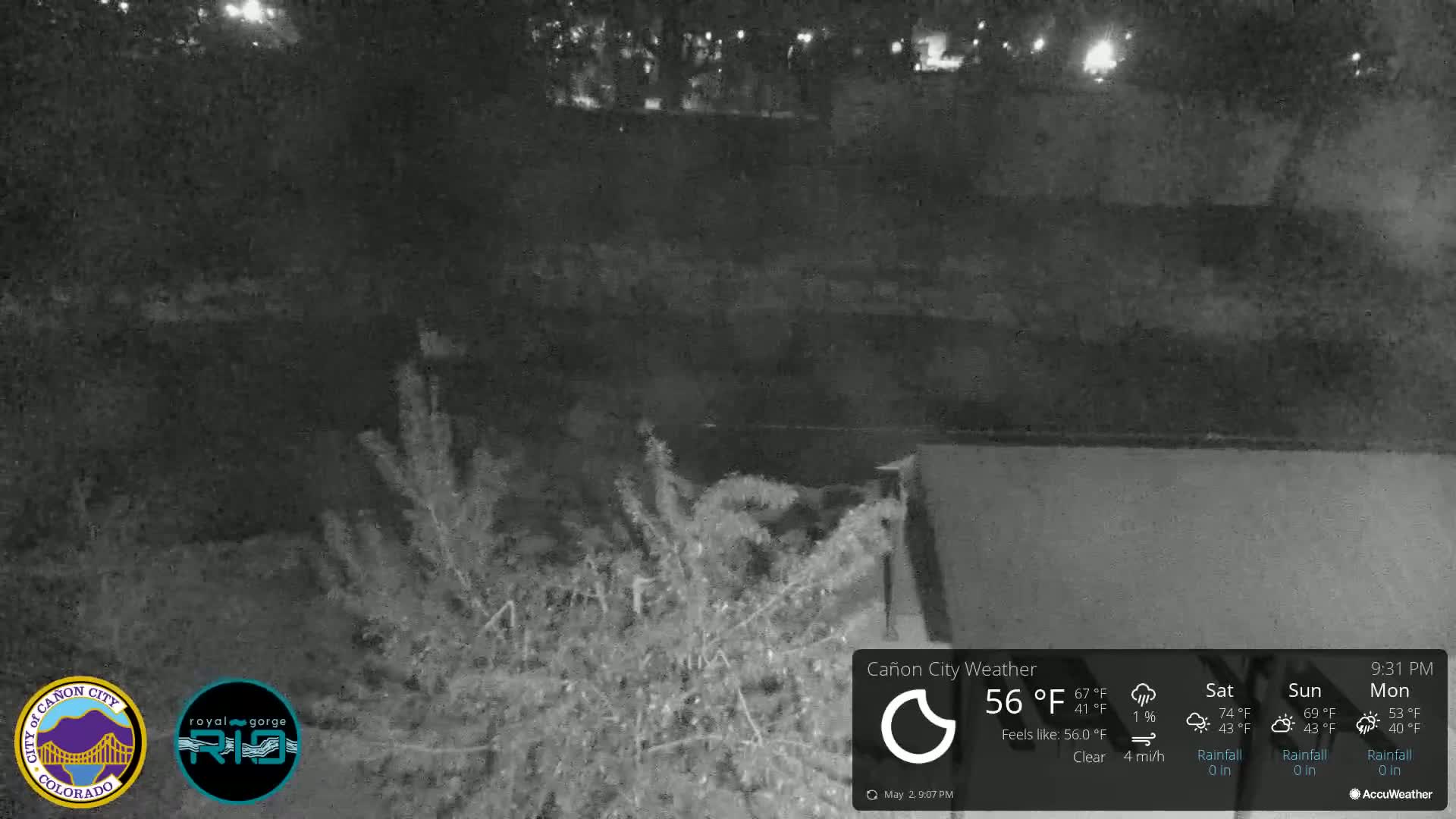 A nighttime, clear view of shrubbery near a body of water, under a clear sky.