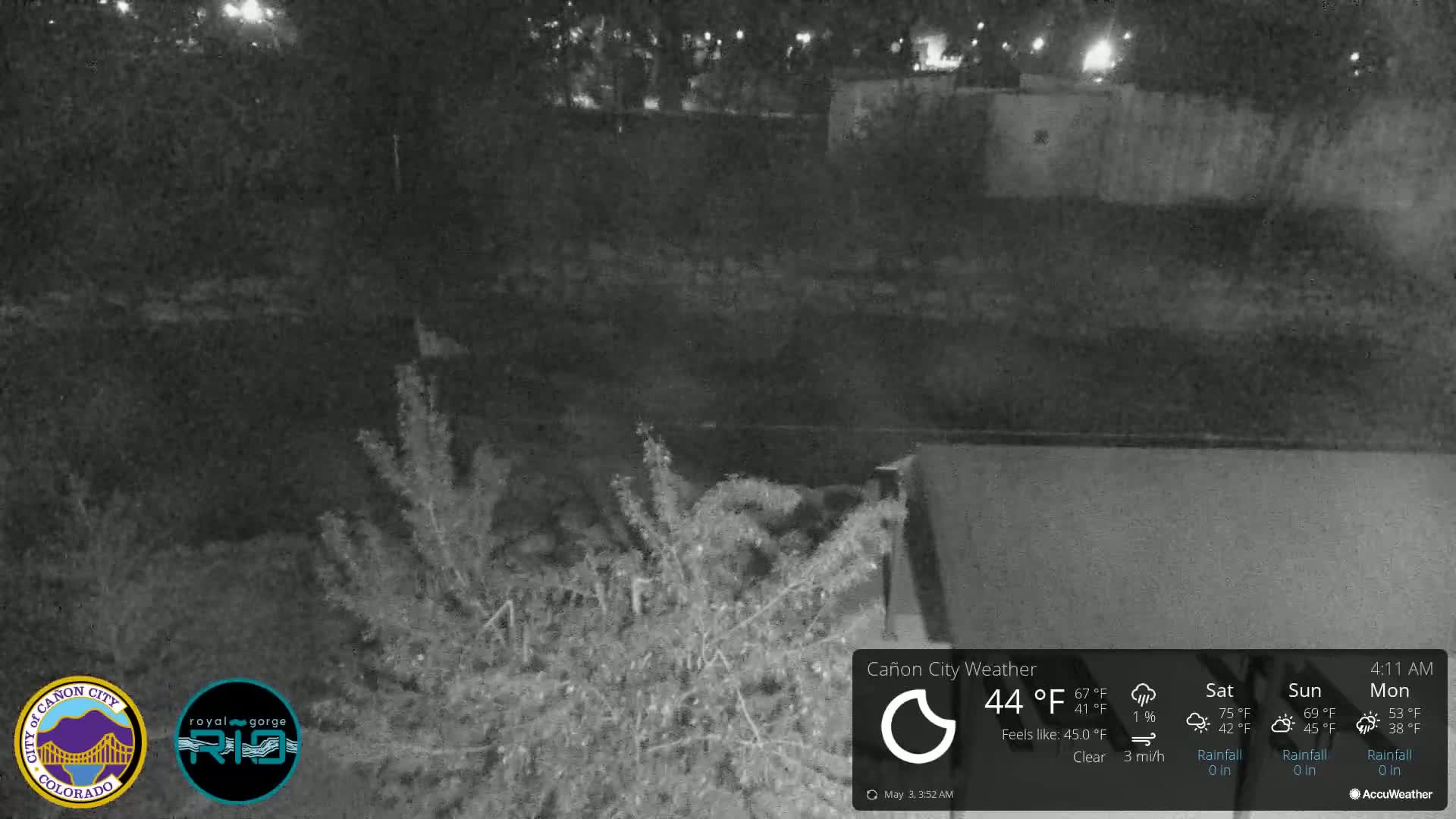 A nighttime, clear view of a riverbank with low-lying vegetation under a dark sky.