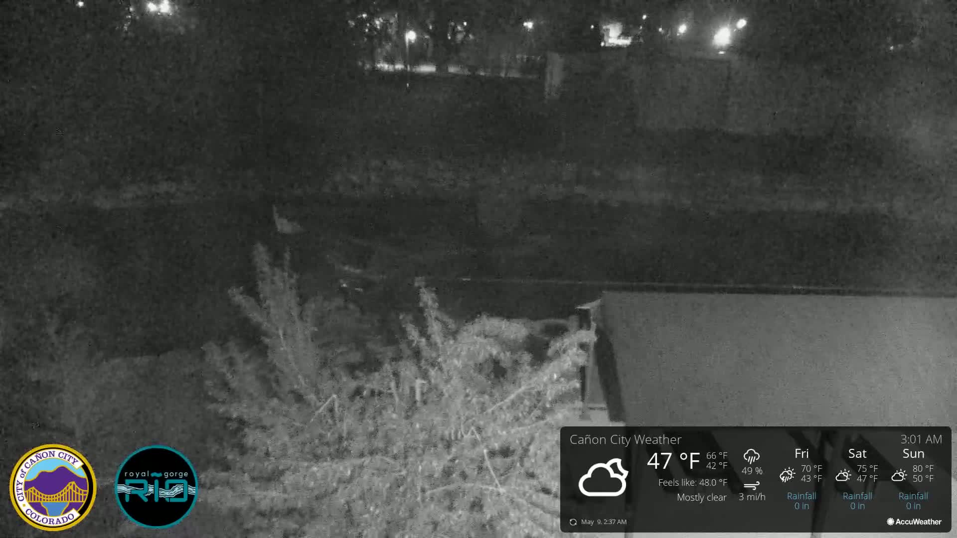 A nighttime, mostly clear view of shrubbery near a body of water under a dark sky.