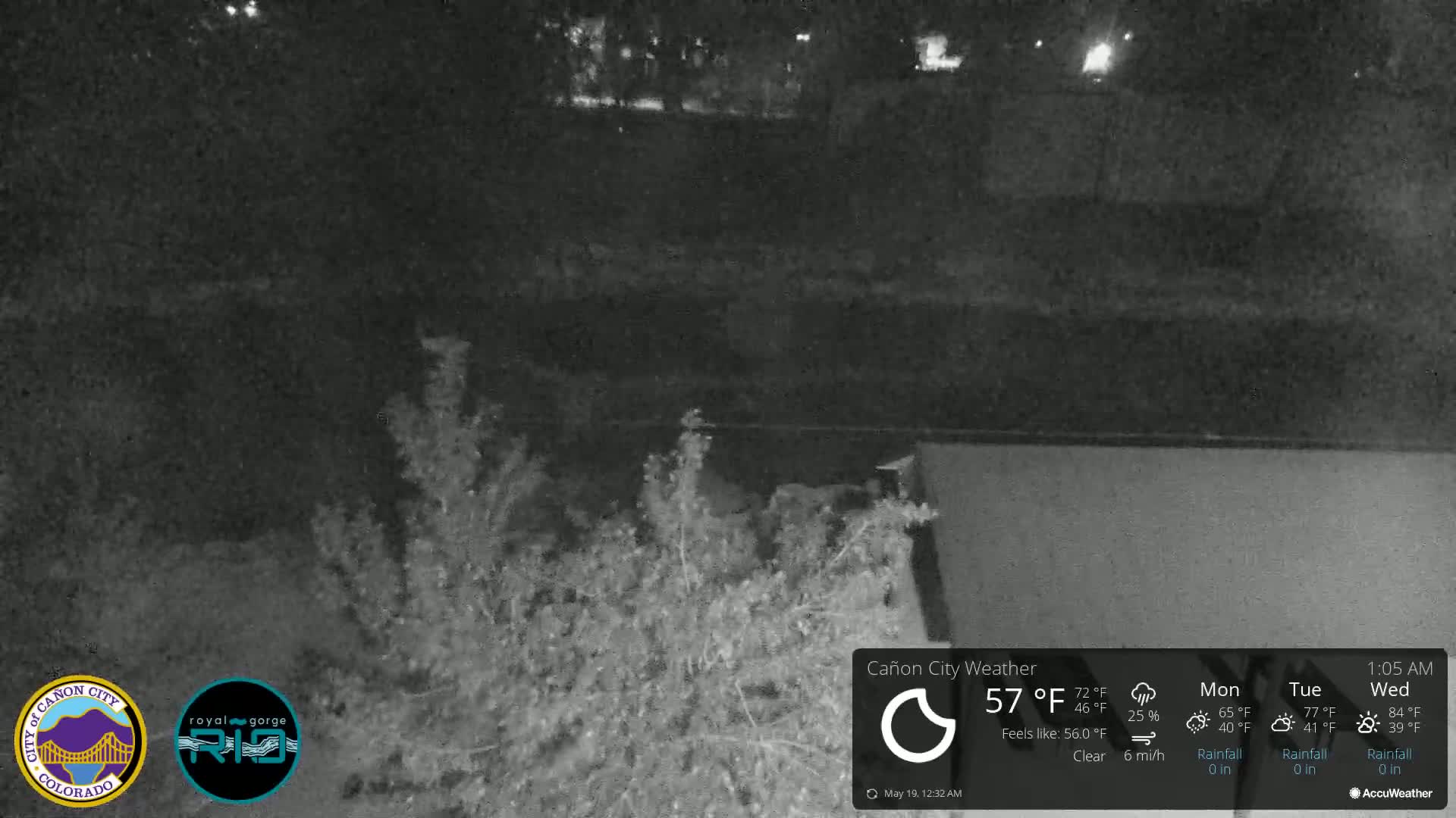 A nighttime, clear view of dark shrubbery and a body of water under a clear sky.