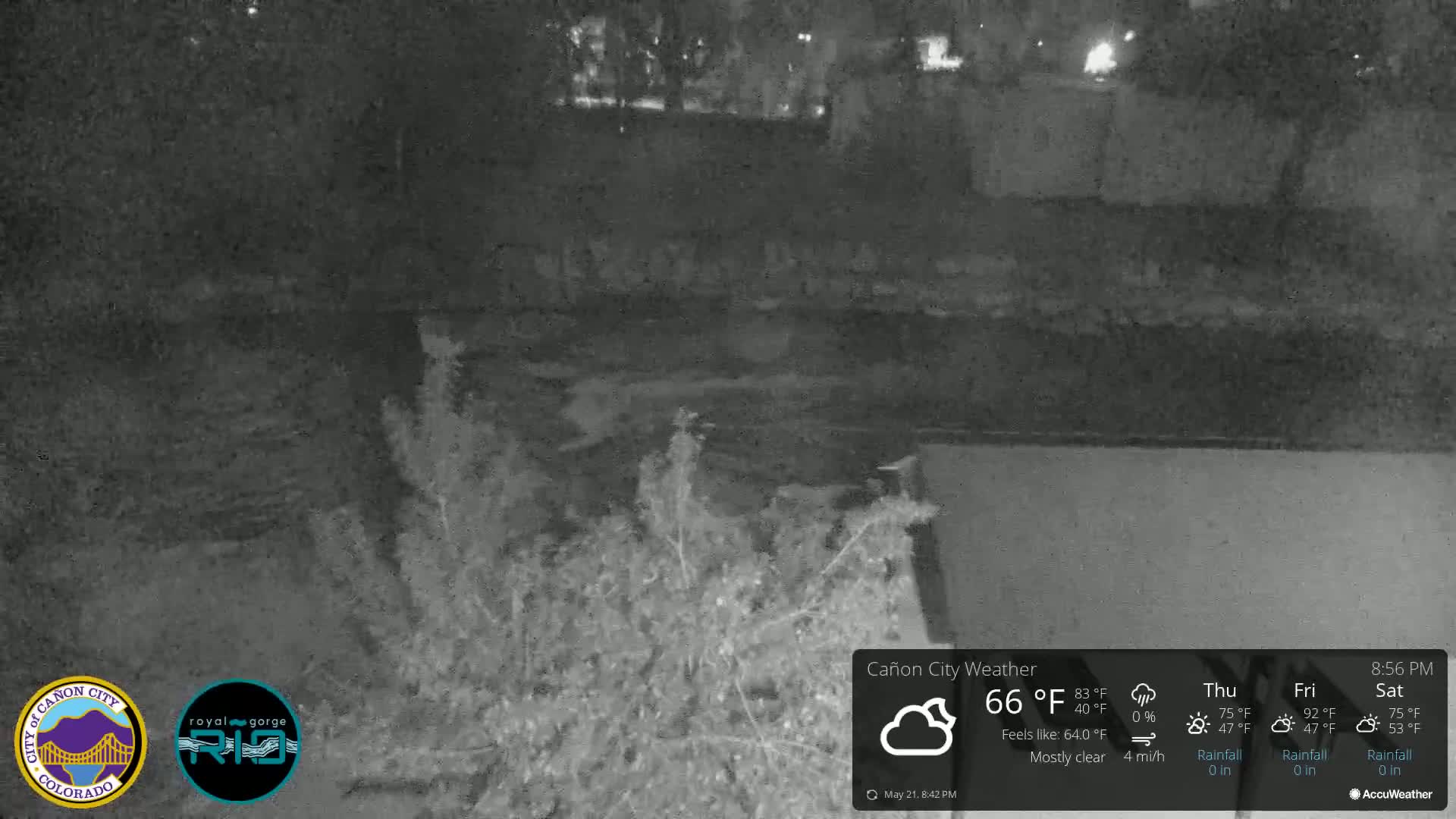 A nighttime, mostly clear view of a dark body of water bordered by vegetation.