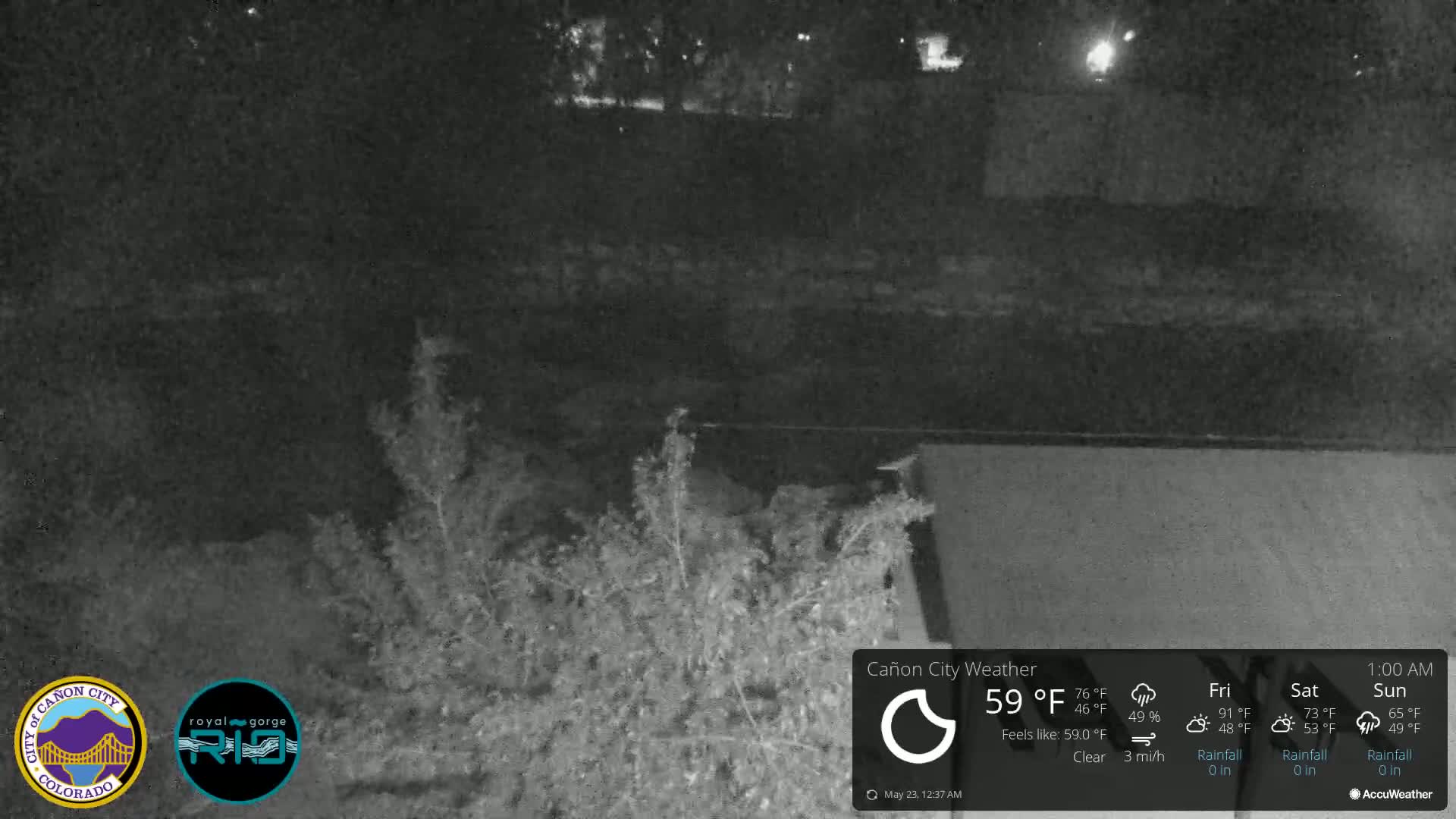 A nighttime, clear view of shrubbery and a body of water under a clear sky.