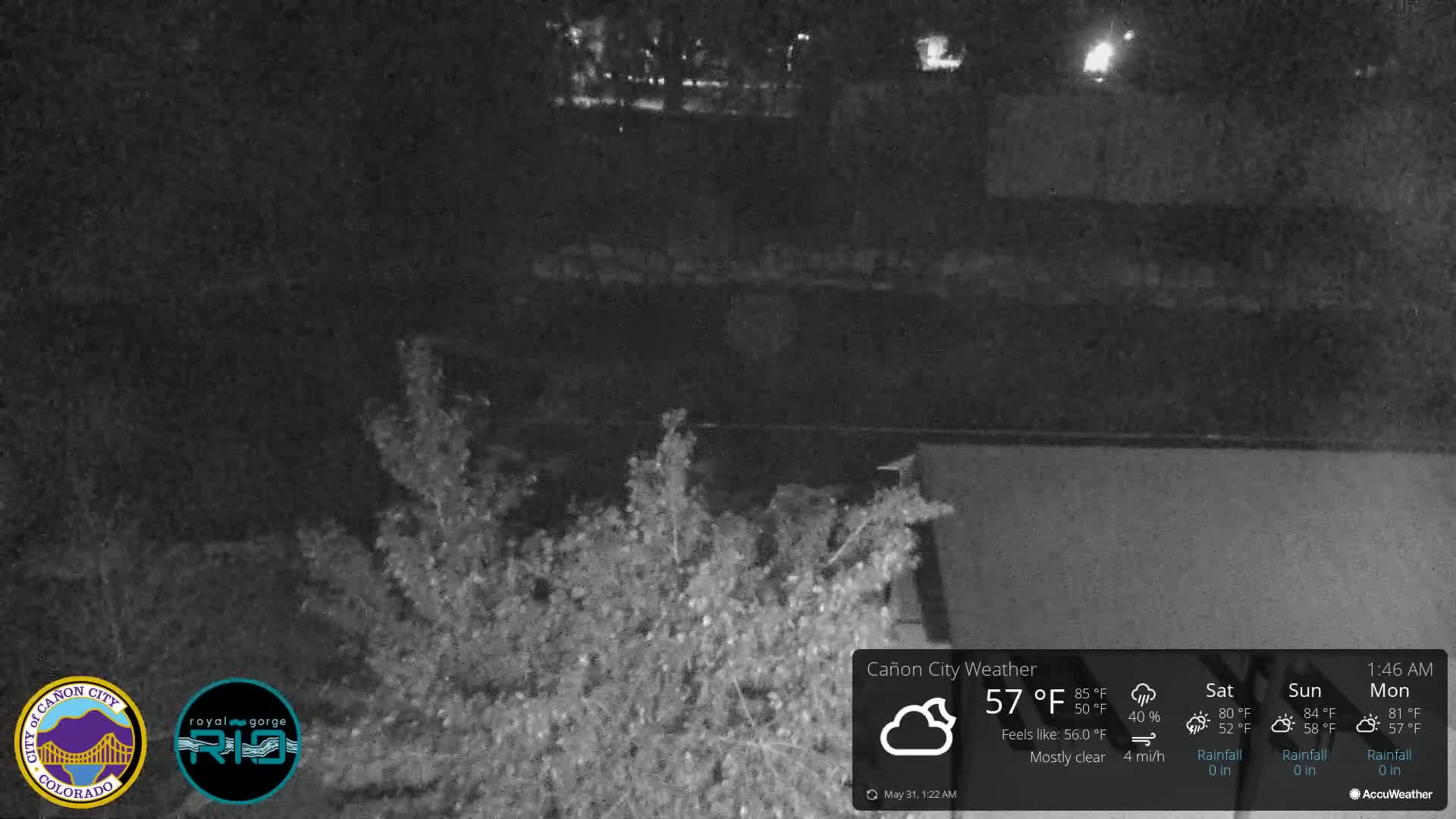A nighttime, mostly clear view of shrubs and a body of water, with a light breeze.