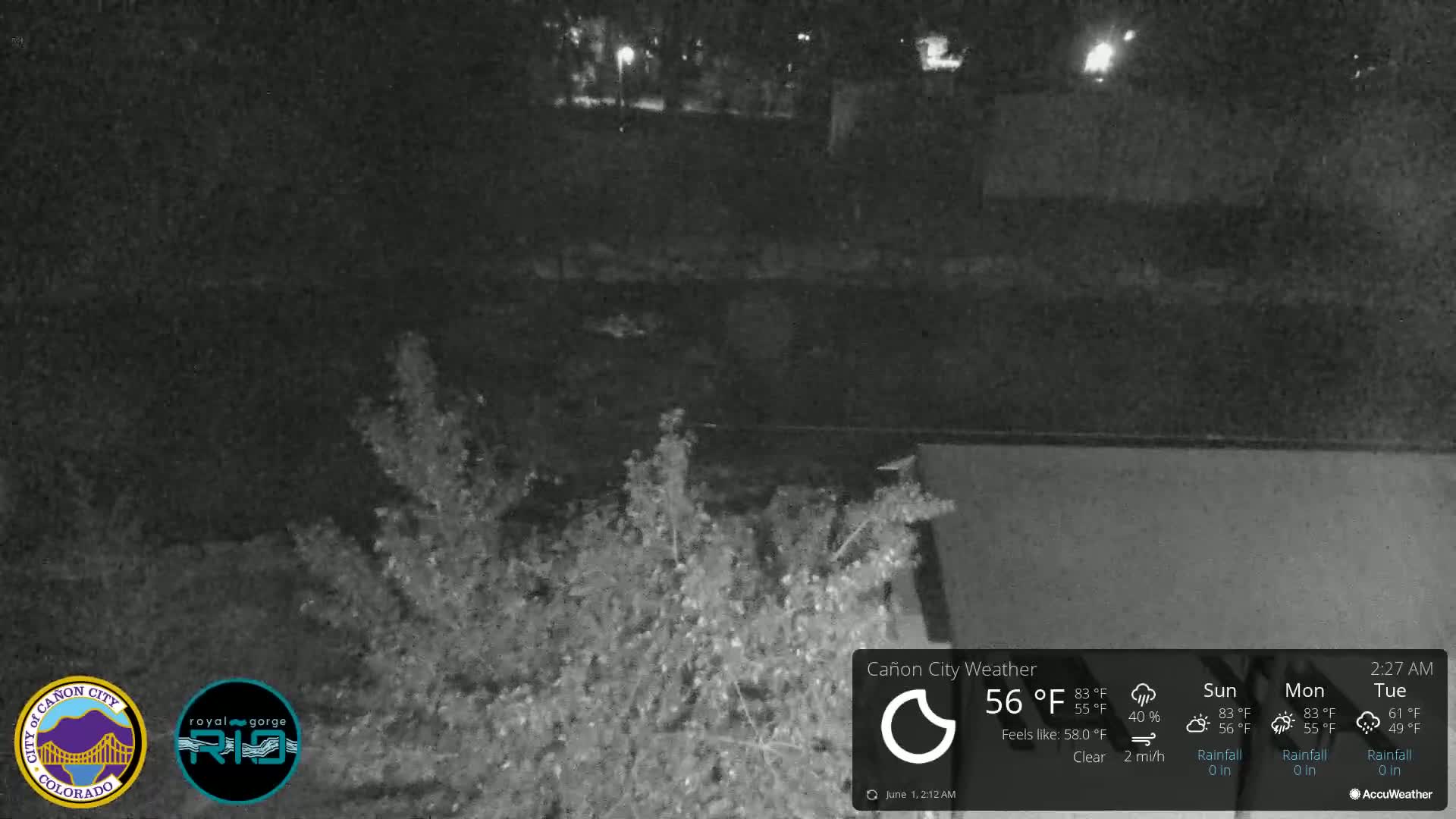 A nighttime, low-light view of a dark body of water and vegetation under clear skies.