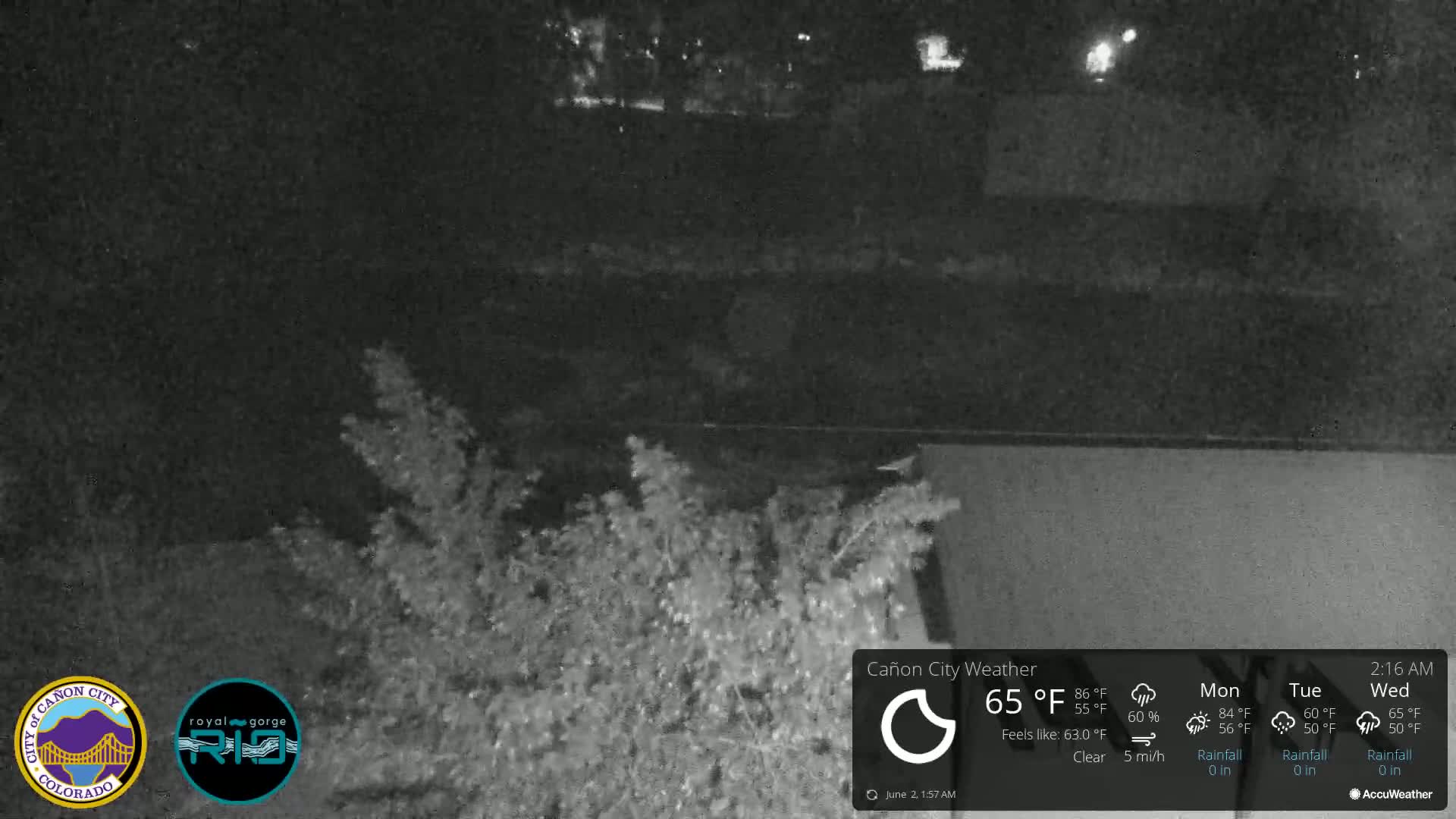A nighttime, low-light view of shrubs and a dark, possibly paved area beyond them under clear skies.