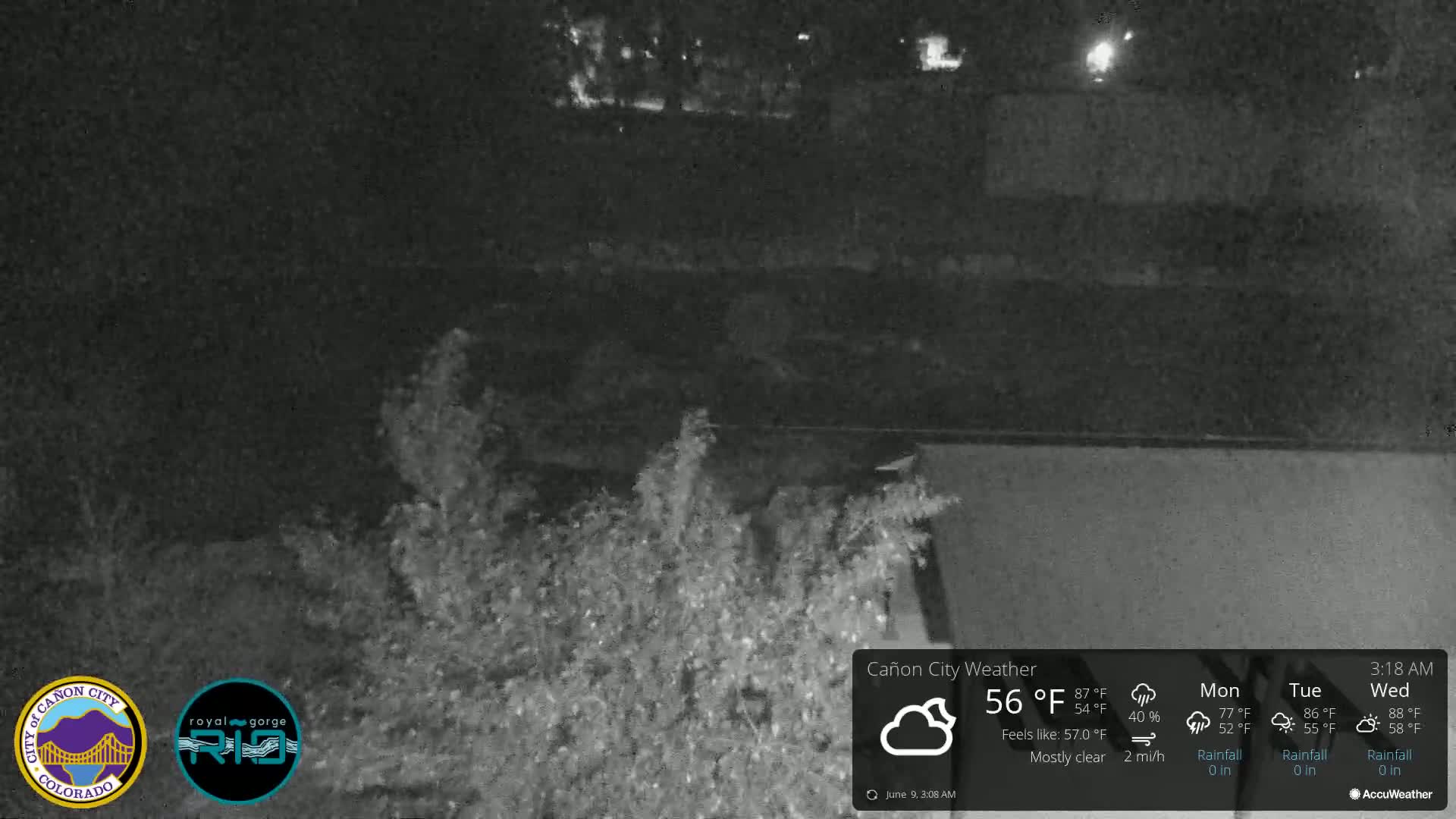 A nighttime, mostly clear view of shrubbery and a dark paved area, under a sky with a light breeze.