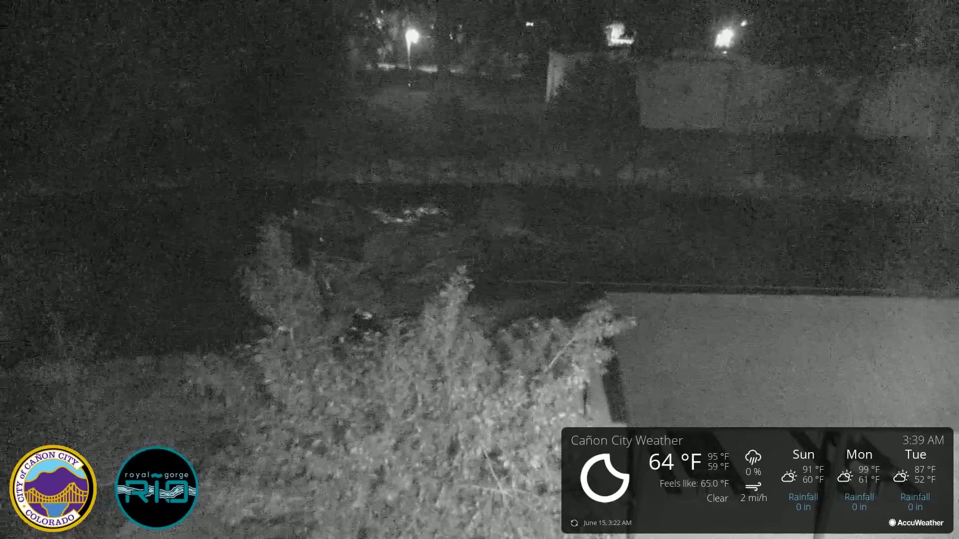 A nighttime, low-light view of shrubs and a body of water, under clear skies with a light breeze.