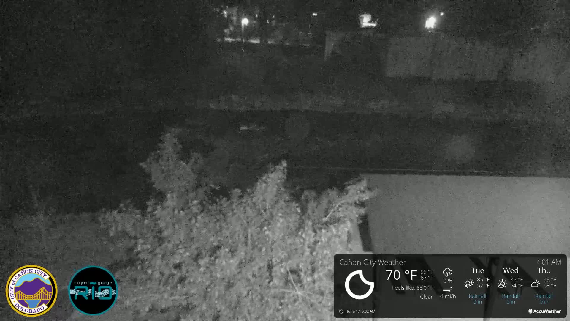A nighttime, clear view of shrubbery and a dark body of water under a clear sky.