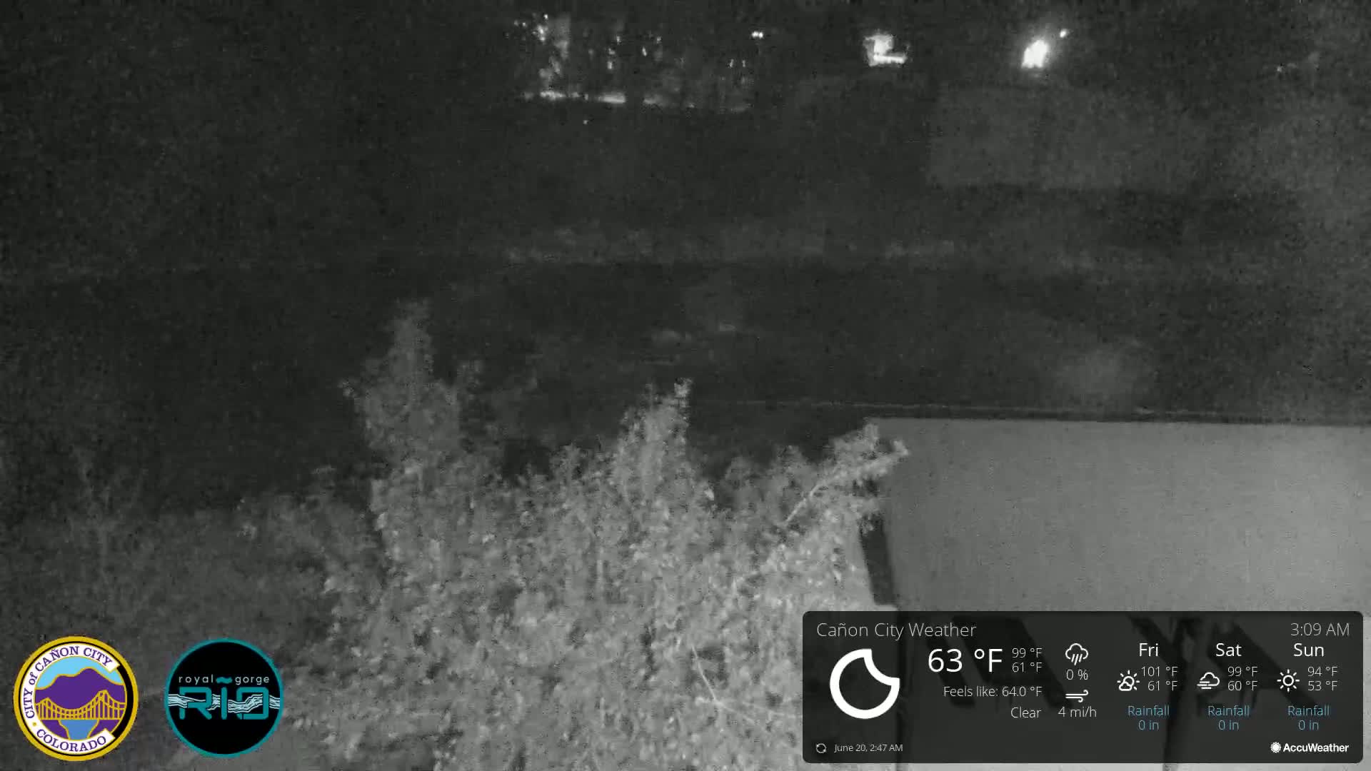 A nighttime, clear view of shrubbery and a dimly lit background.
