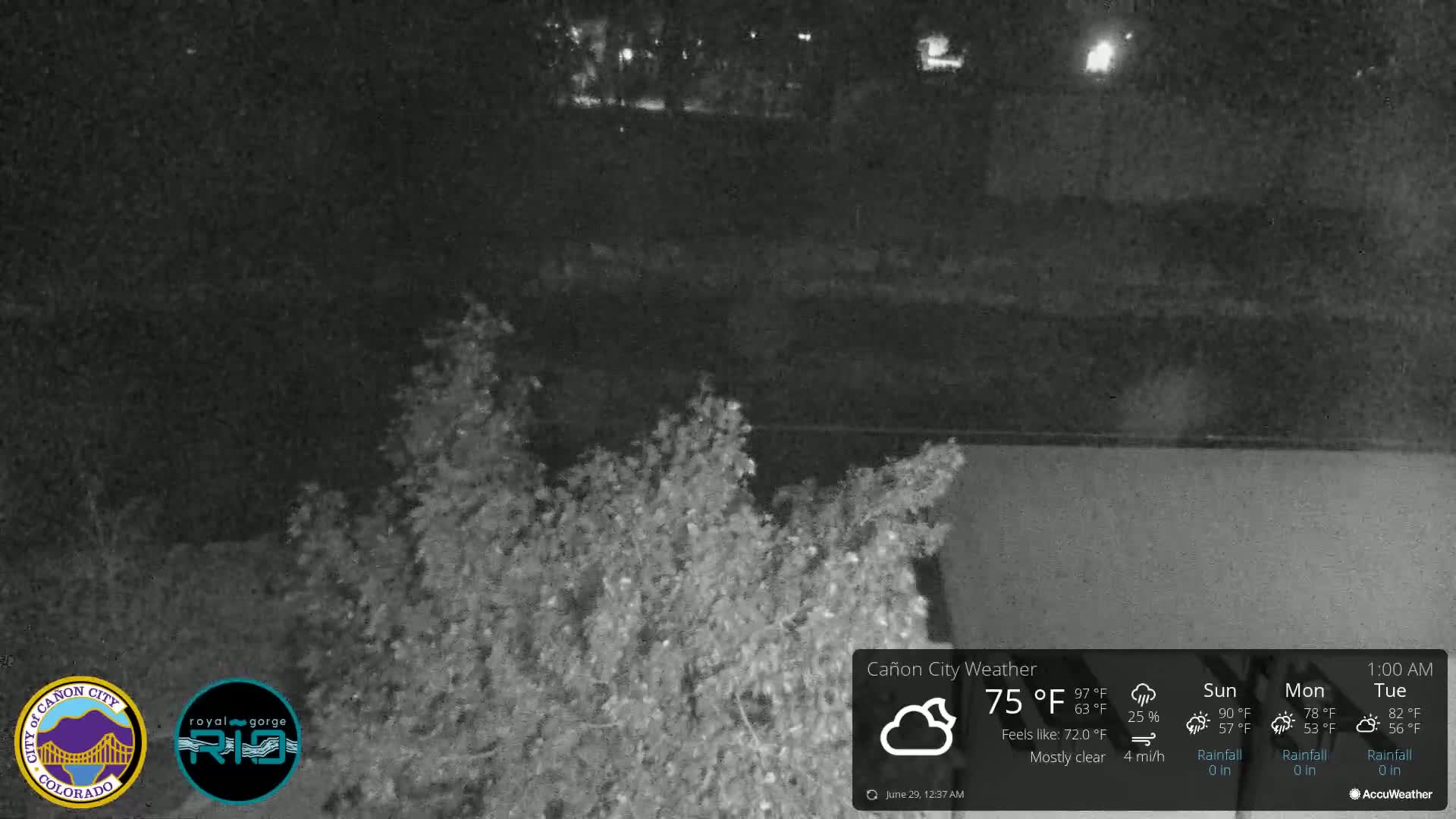 A nighttime view of shrubbery in front of a dark, mostly clear sky.