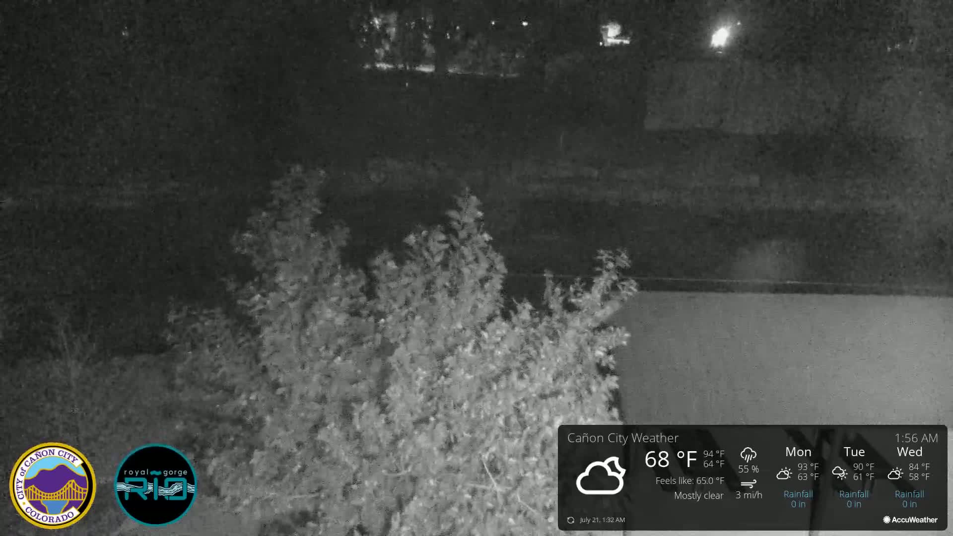 A nighttime view of bushes and a body of water under a mostly clear sky.