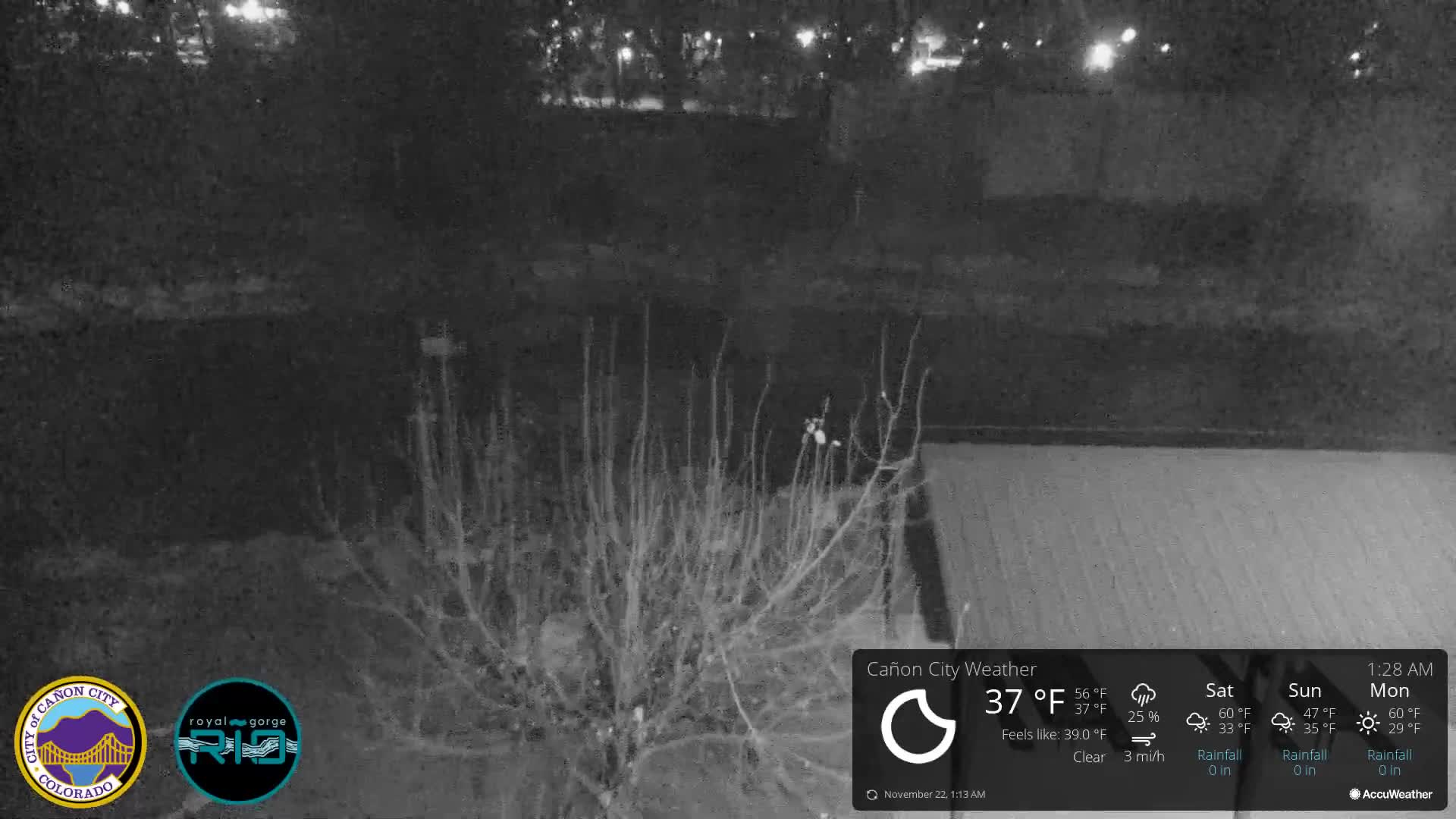 A dark, clear nighttime outdoor scene shows bare branches of a bush or small tree in the foreground, an indistinct dark landscape, and scattered distant lights.