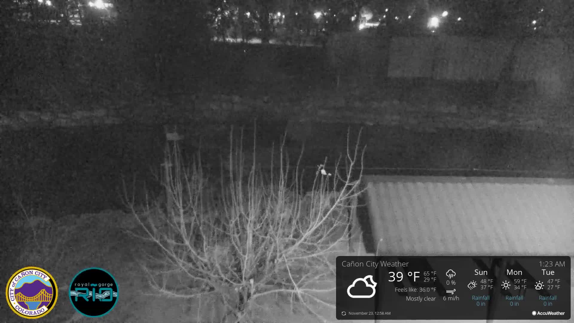 A grayscale outdoor scene at night features a large, bare bush prominently in the foreground, a ribbed rooftop extending from the lower right, and faint distant lights, all under clear and cold conditions.