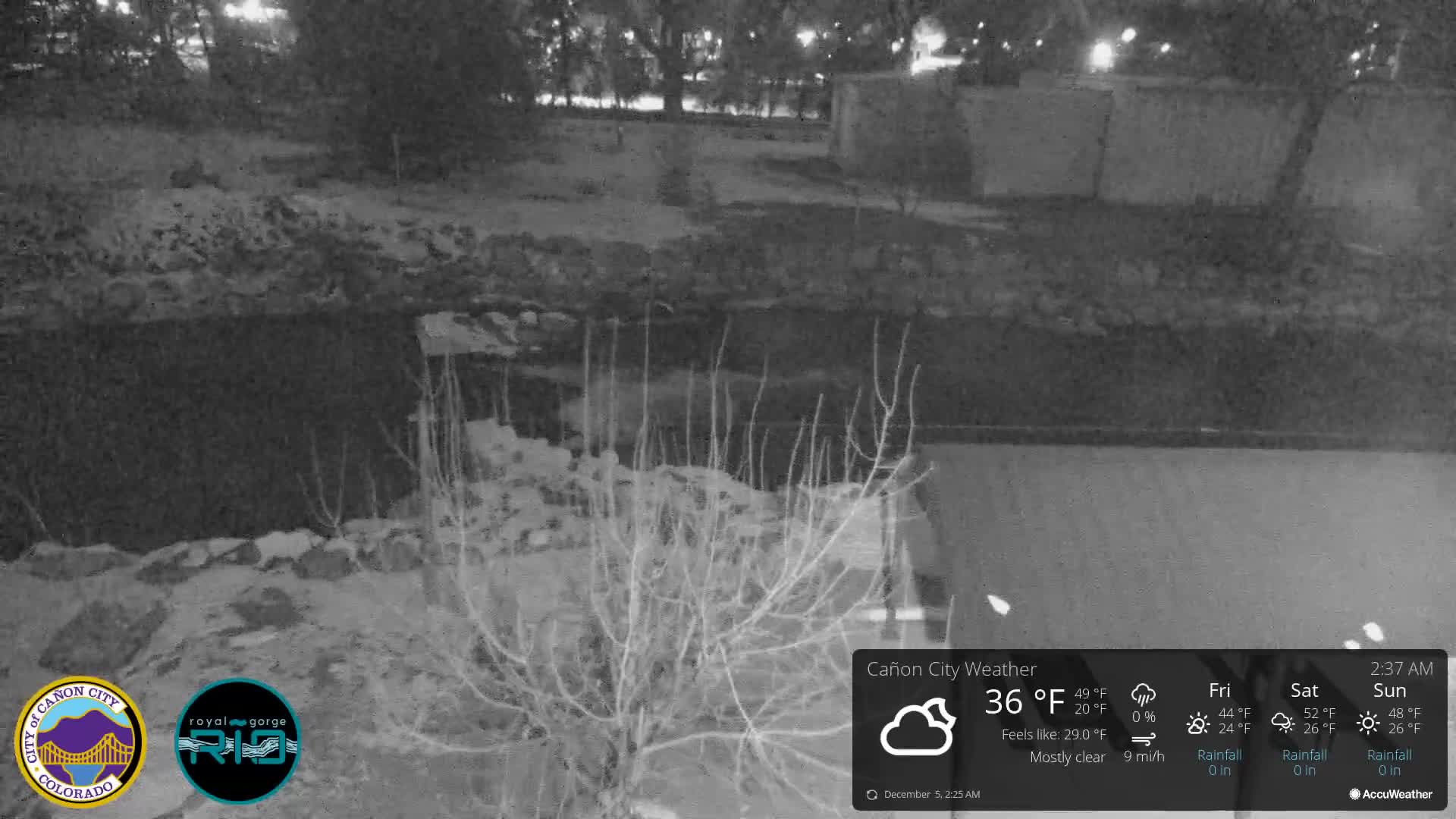 A monochromatic night view captures a cold, clear outdoor scene featuring bare winter vegetation lightly dusted with frost or snow, and a dark, possibly unlit area in the foreground.