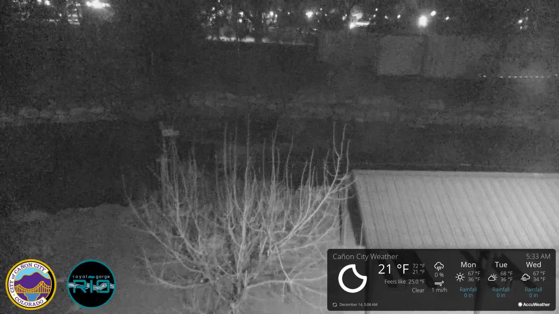 A monochromatic night view captures a cold, clear outdoor scene featuring bare winter vegetation lightly dusted with frost or snow, and a dark, possibly unlit area in the foreground.