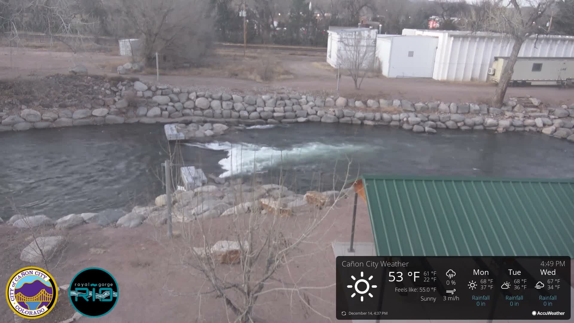 A monochromatic night view captures a cold, clear outdoor scene featuring bare winter vegetation lightly dusted with frost or snow, and a dark, possibly unlit area in the foreground.