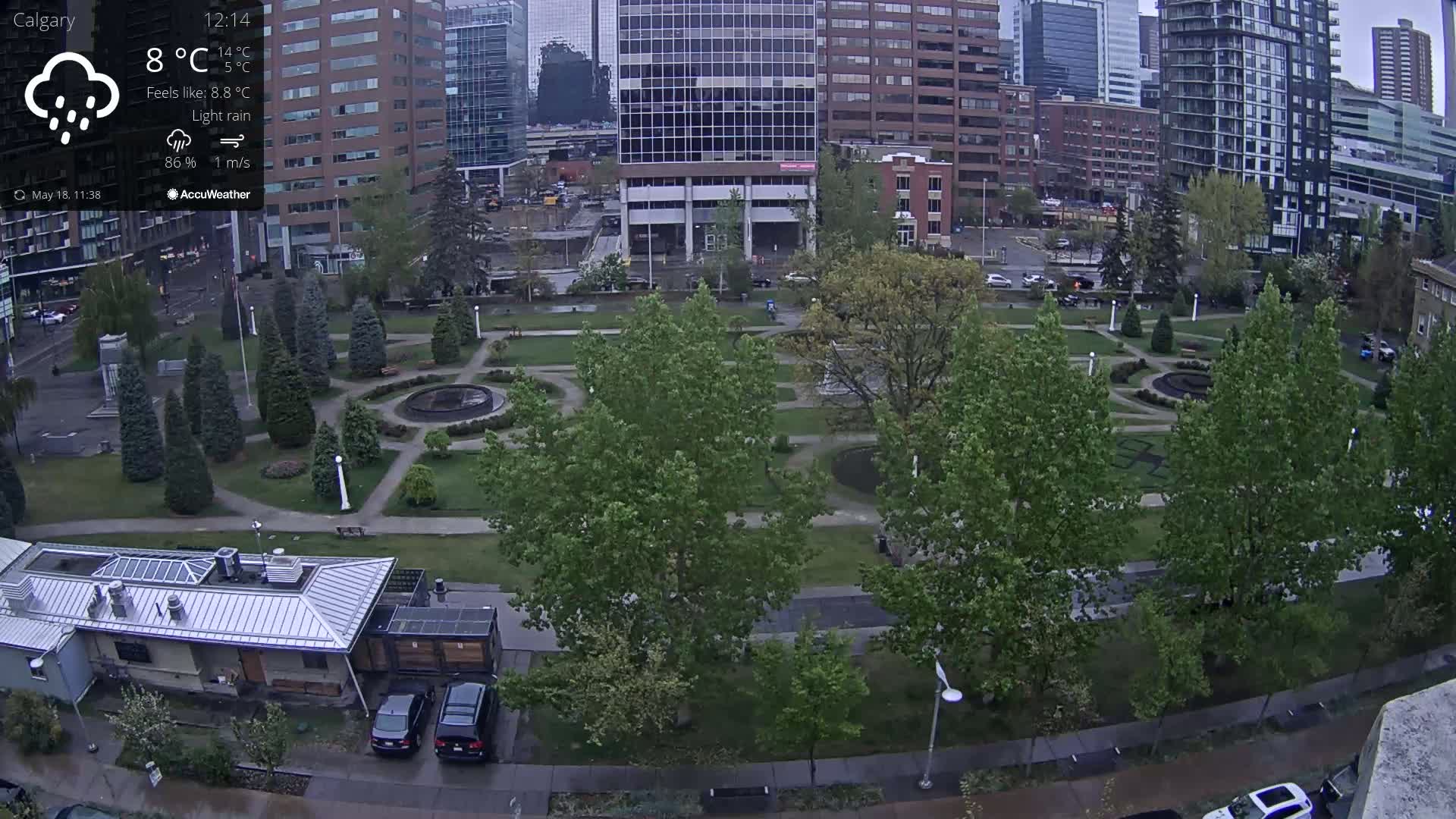 A city park with lush green trees and neatly manicured lawns is seen during a light rain, with tall buildings forming a backdrop.