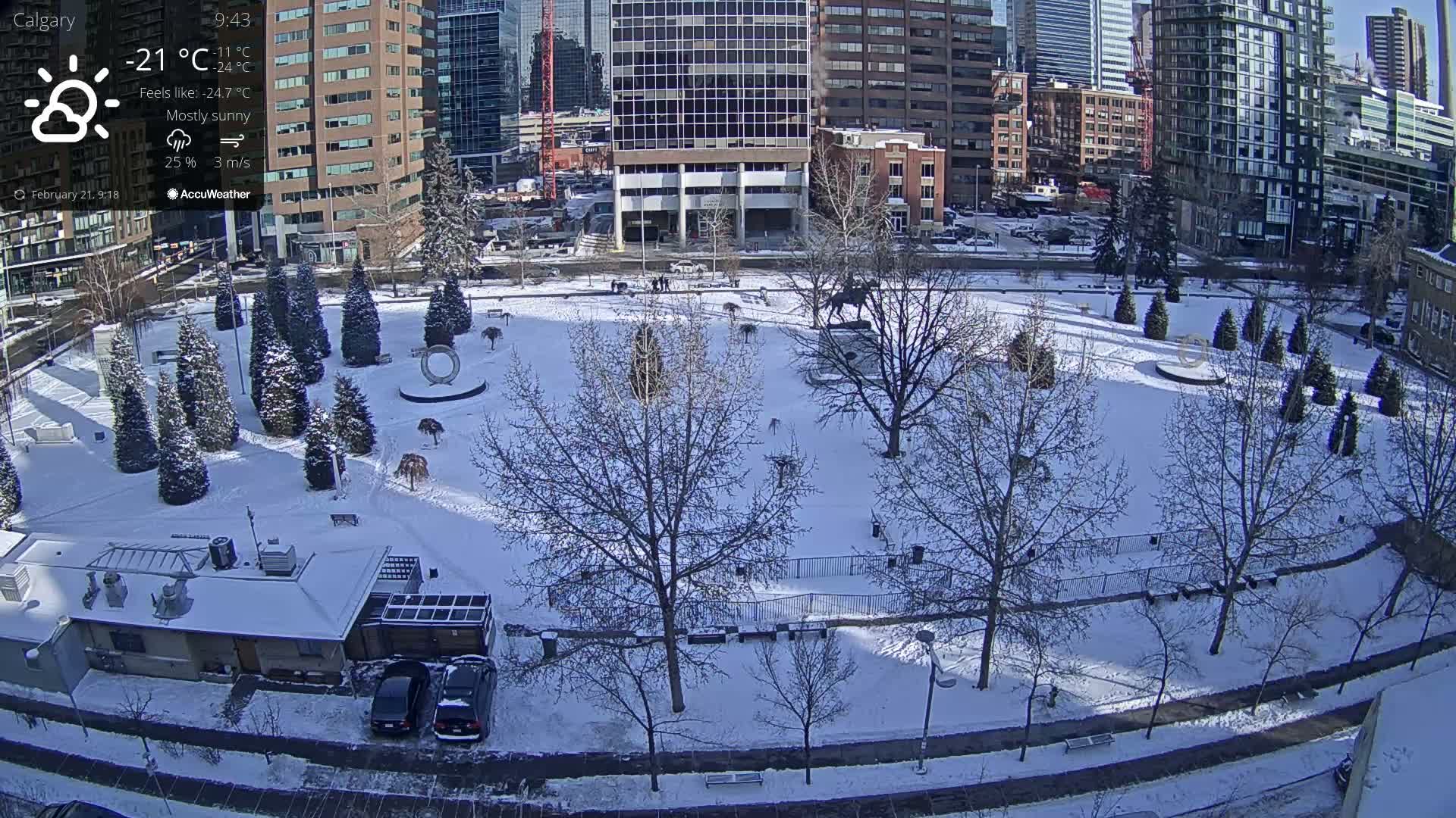 Calgary, Central Memorial Park Live Cam - Calgary, Rocky View County and Foothills County, Alberta, Canada