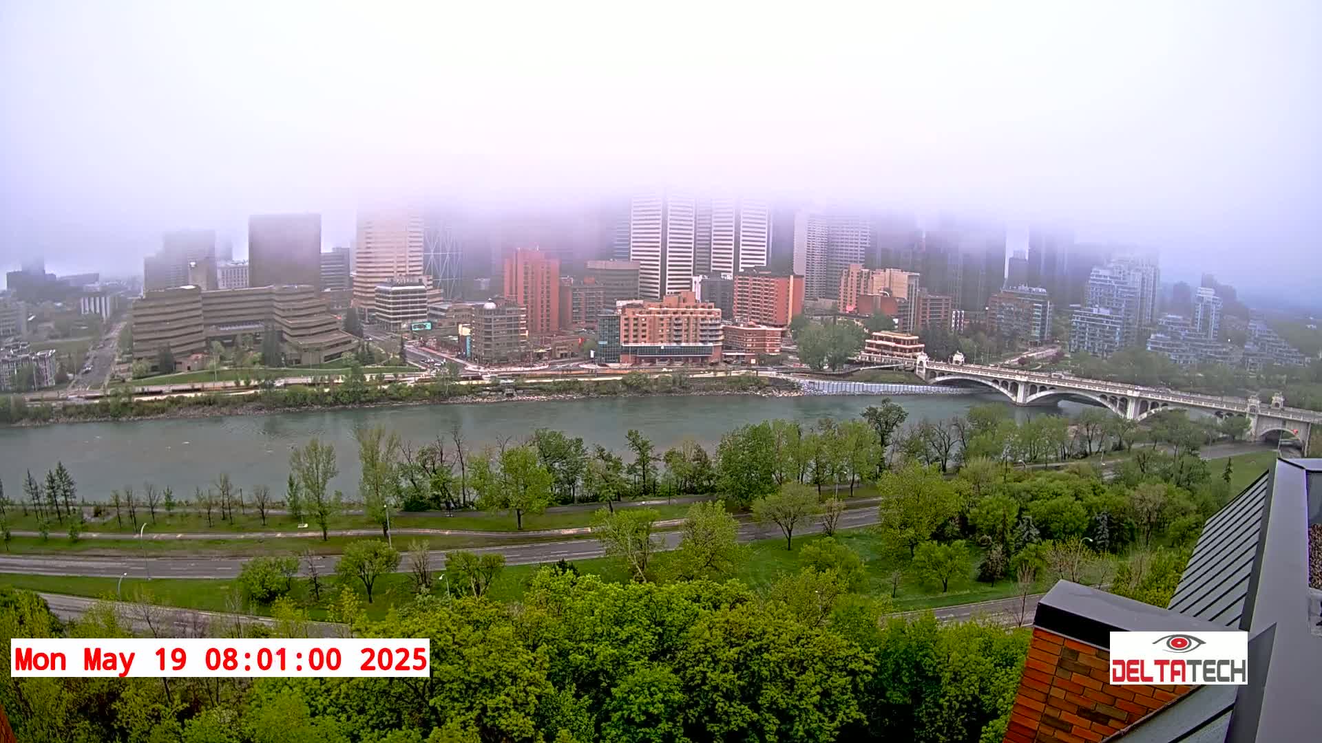 A foggy cityscape with tall buildings across a river, viewed from an elevated perspective showing a roadway and lush green trees in the foreground.