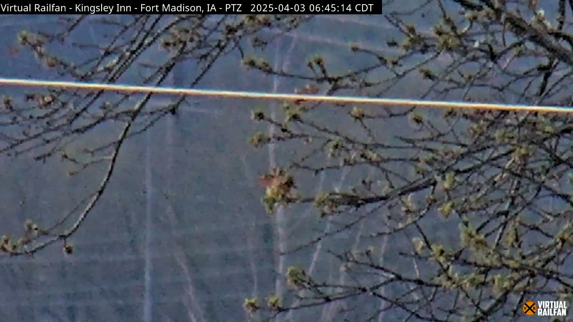 Bare branches with budding leaves cover the foreground in front of a blurry, gray-blue background under a mostly clear sky.
