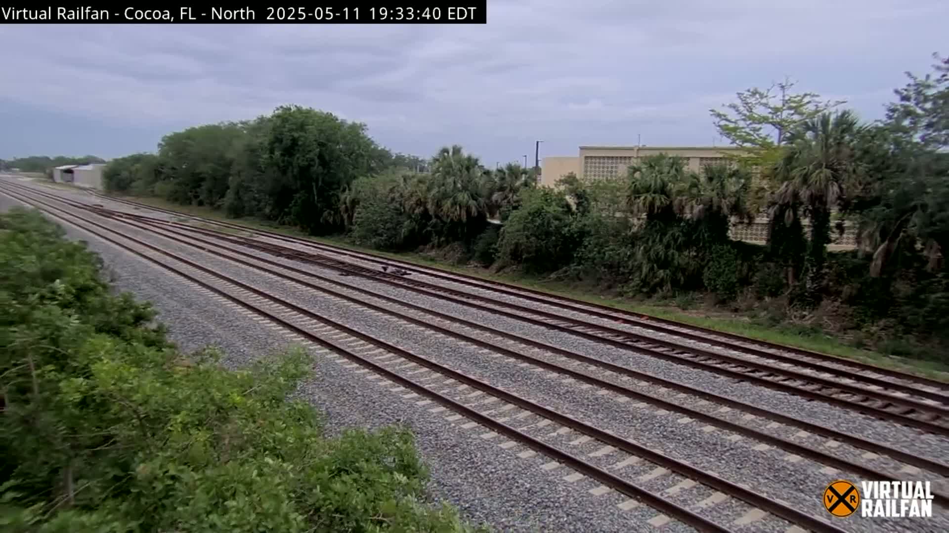 Multiple parallel train tracks stretch into the distance under an overcast sky, bordered by lush green vegetation and palm trees.