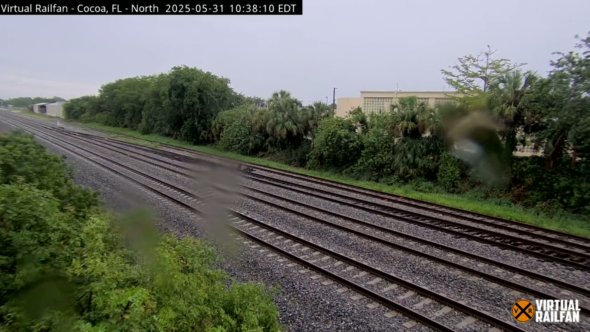 Multiple sets of train tracks run through lush green vegetation under an overcast sky.