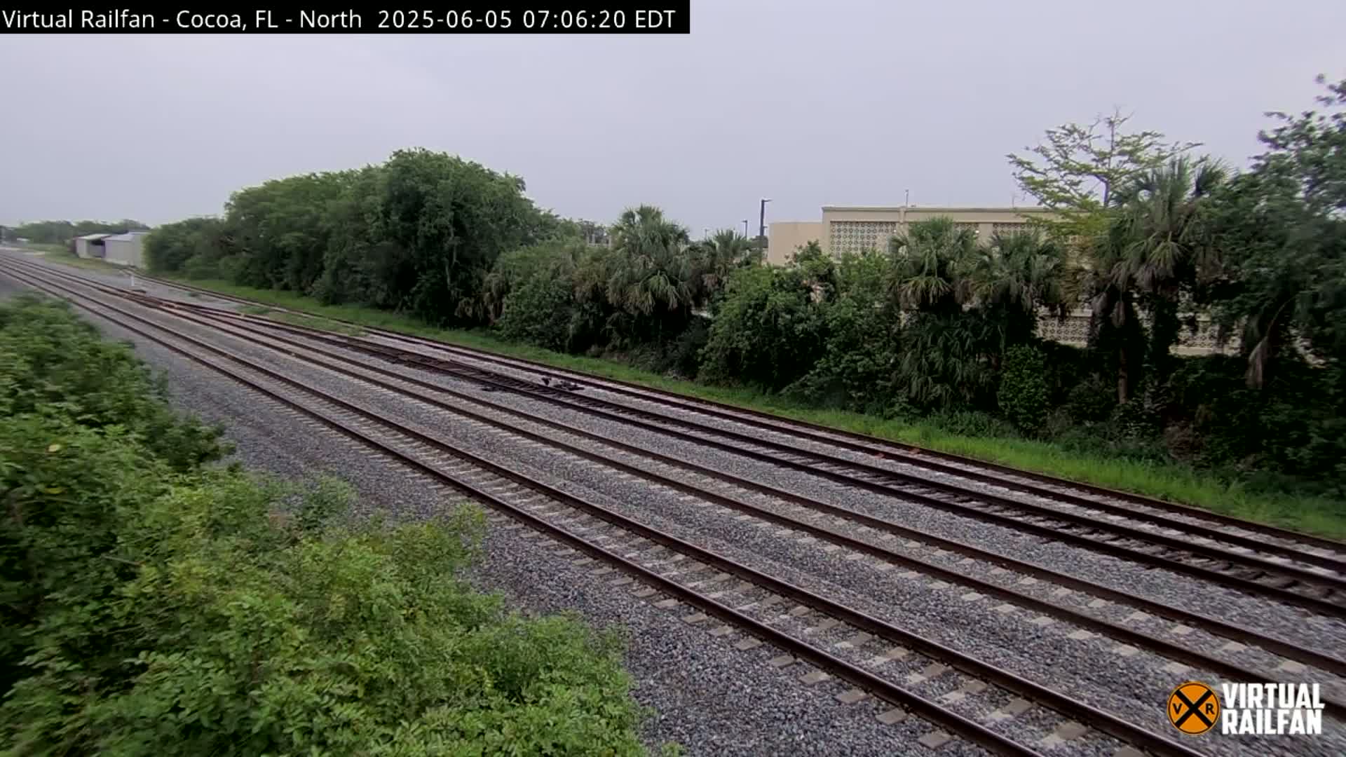Multiple parallel train tracks stretch into the distance under an overcast sky, bordered by lush green vegetation and a distant building.