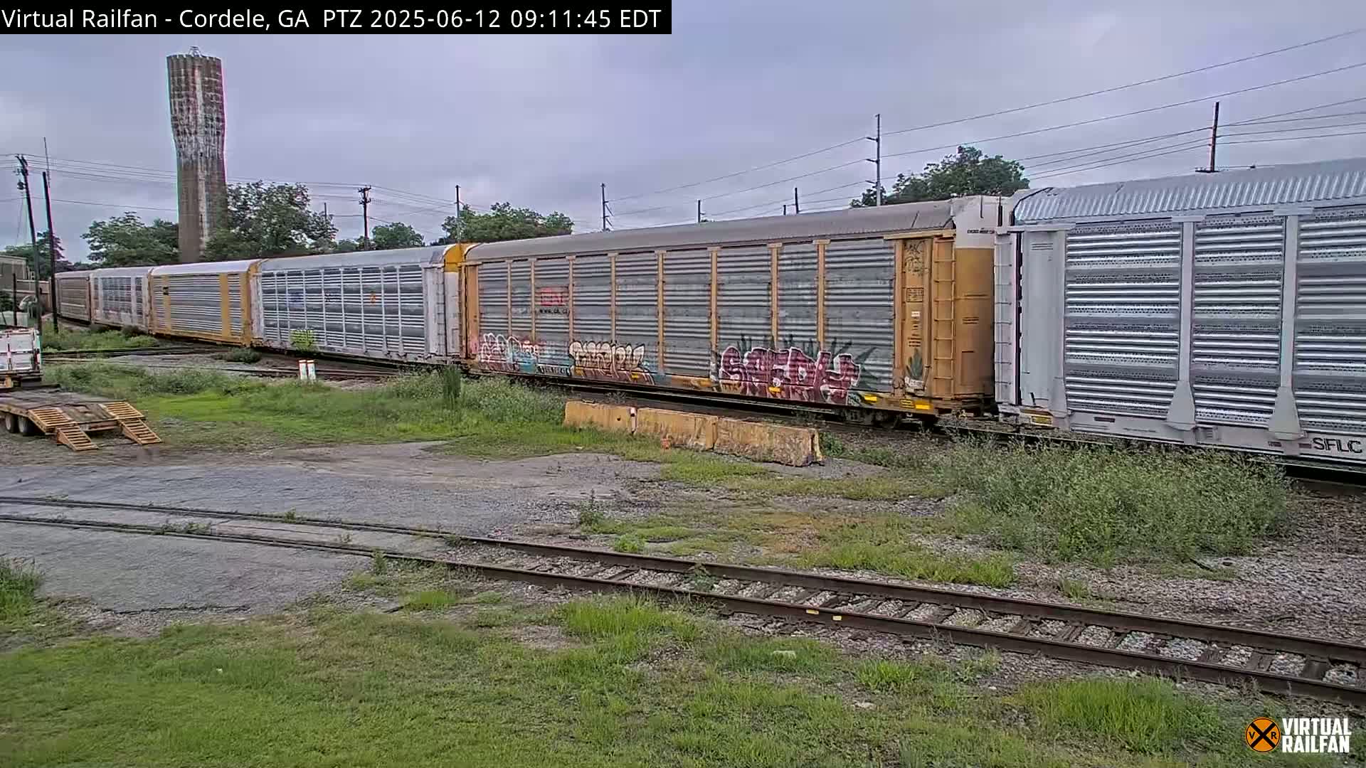 A long freight train with graffiti on some cars sits on railroad tracks next to overgrown weeds under a cloudy sky.
