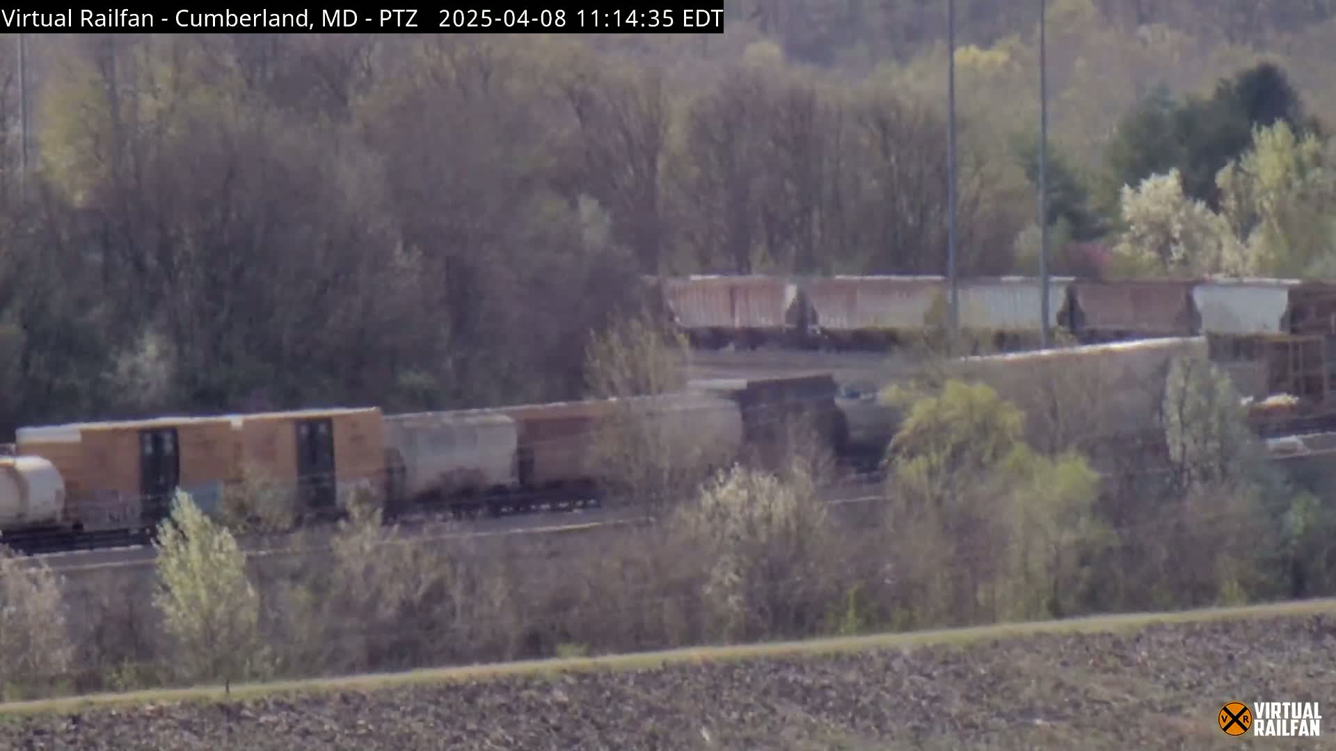 A long freight train sits partially obscured by trees and brush under a bright, sunny sky.