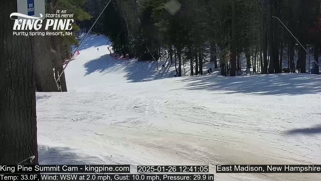 A sunny snow-covered ski slope is seen from a high vantage point, with several skiers visible in the distance and trees lining the upper portion of the slope.