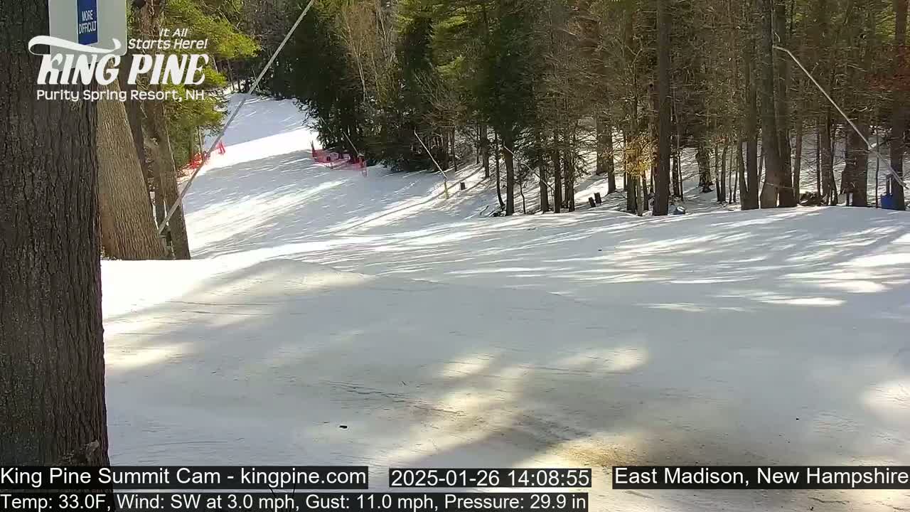 A snow-covered ski slope is partially visible, nestled among a stand of trees on a sunny day with a southwest wind.