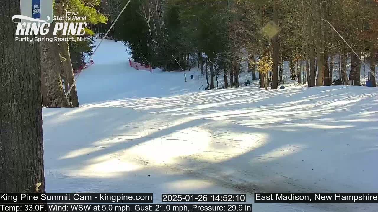 A sunny, snowy ski slope is seen amidst a stand of trees on a partly sunny day.